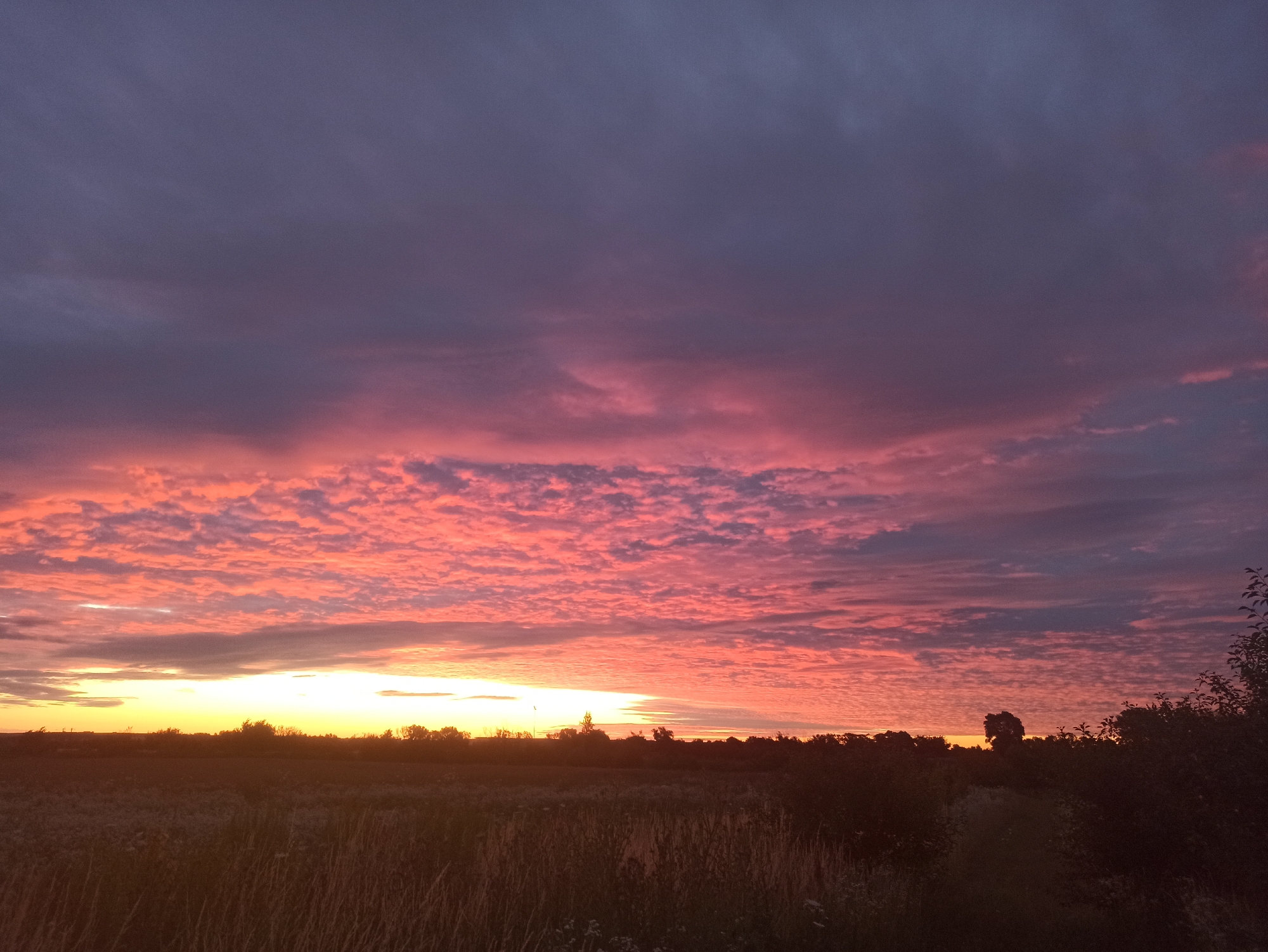 Dusky rural skies in purple, pink, and orange