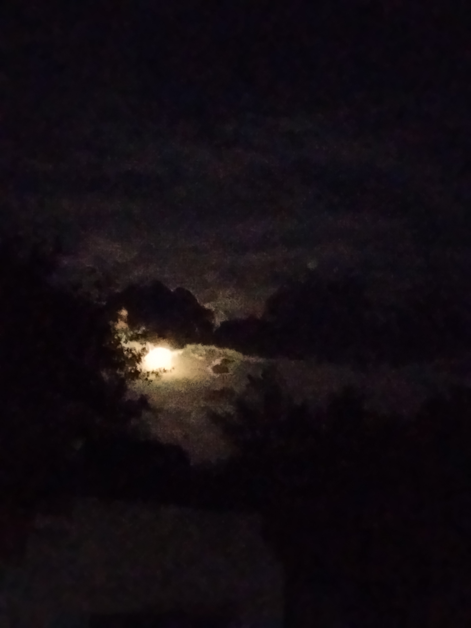 Moonrise through clouds over a rural Ukrainian treeline