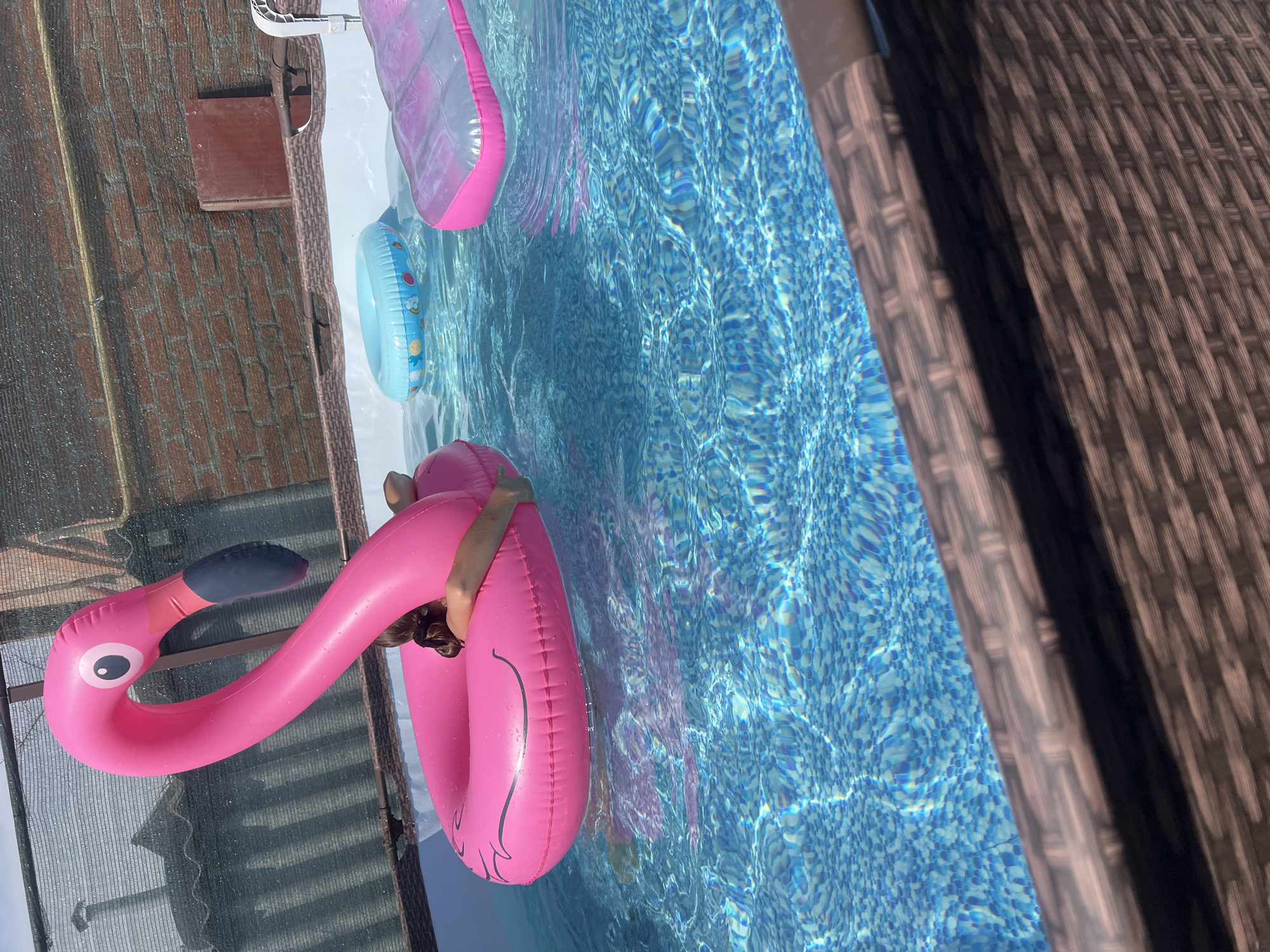 Floating on a pink flamingo inflatable in a Taganrog pool