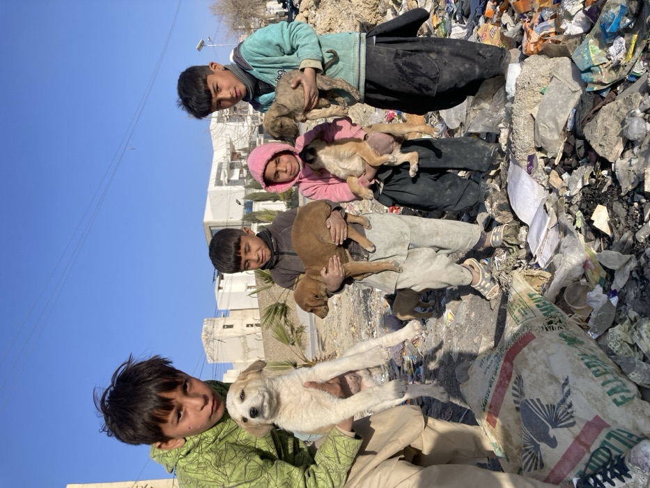 Children Care for Puppies in Quetta Trash-Strewn Area
