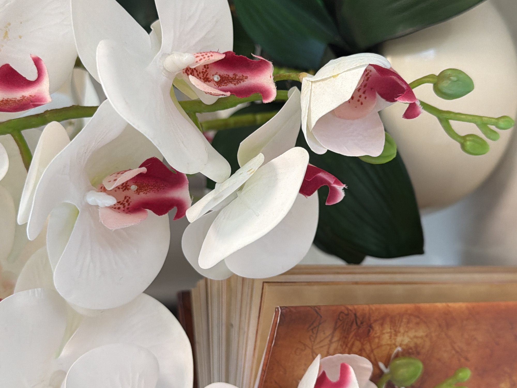 Styled flat lay: 'The Secret' in Russian with white orchids