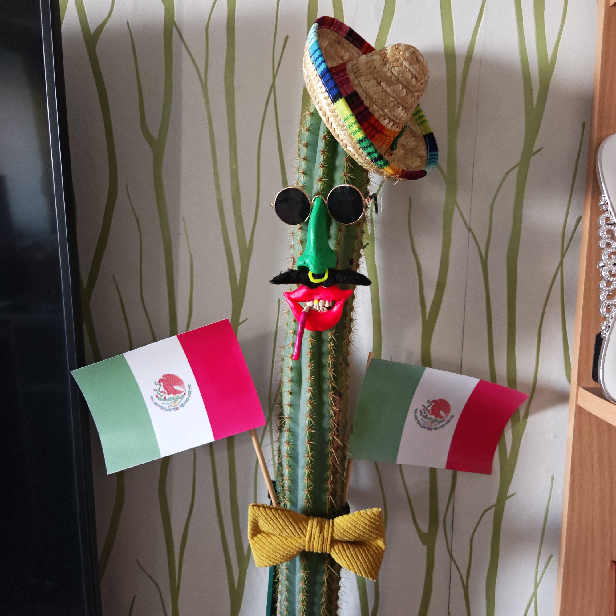 Decorative household items spotted in Rostov home display