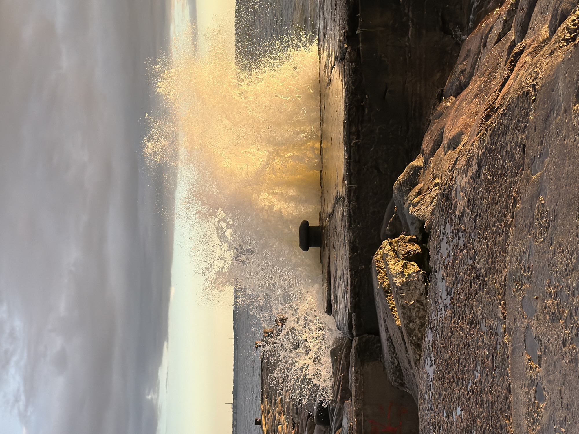 Baltic shoreline at golden hour, Tallinn coast
