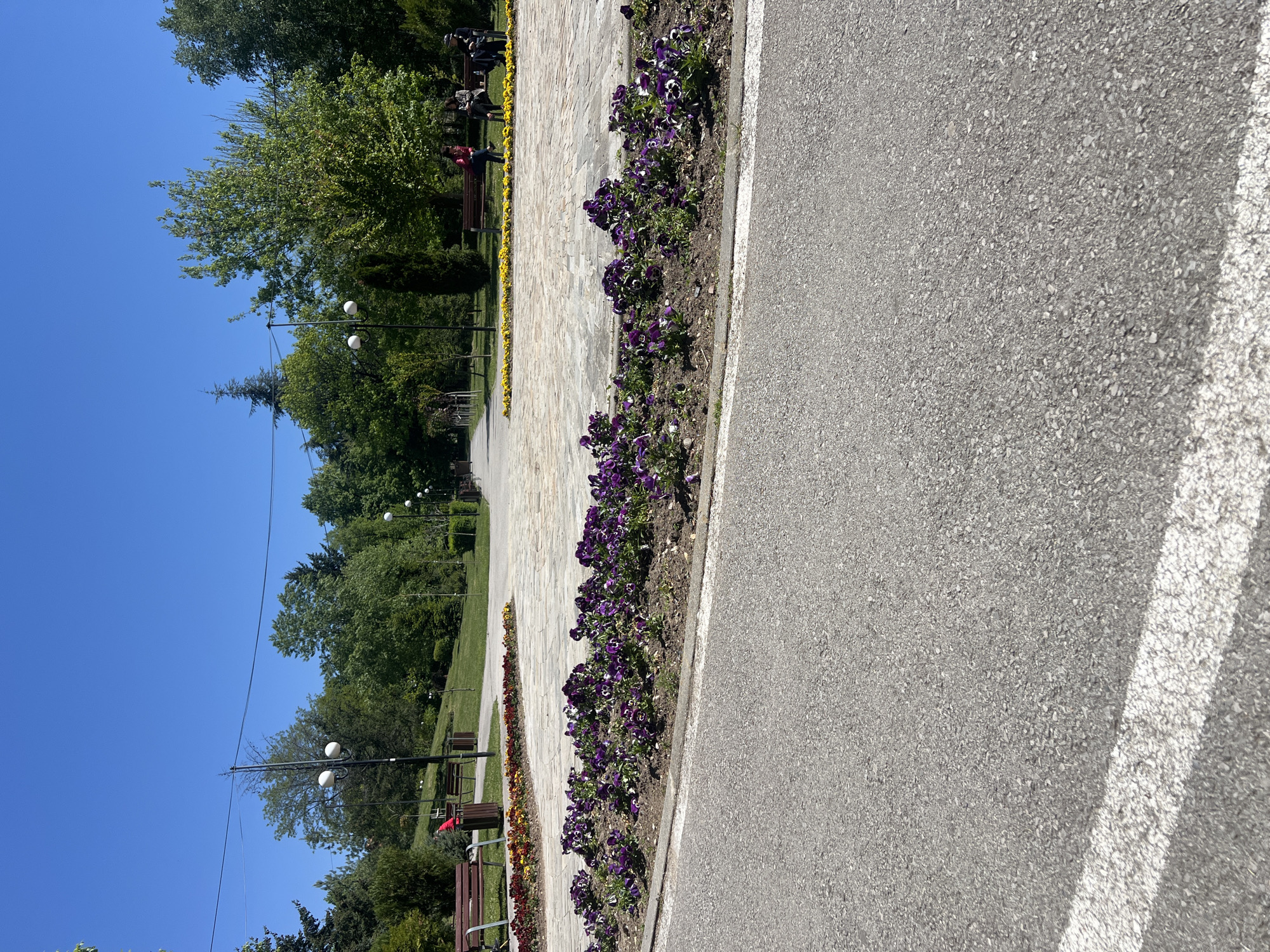 Morning walker pauses in Gotse Delchev park near flower beds