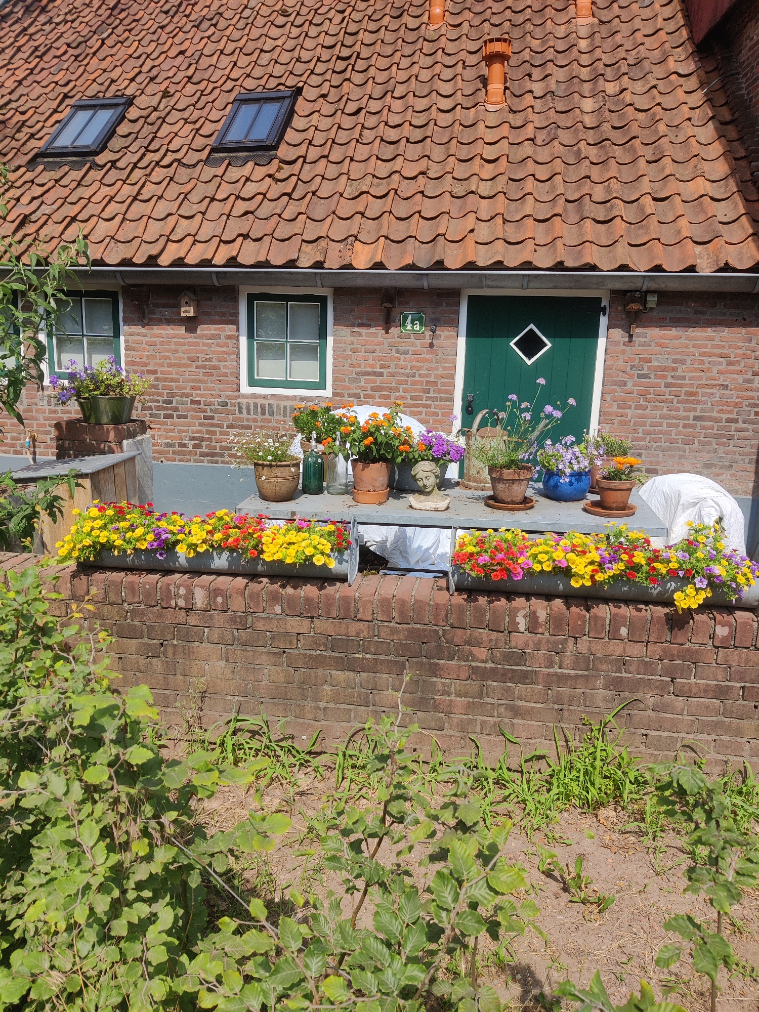 Historic watermill and rural waterways in Winterswijk Woold