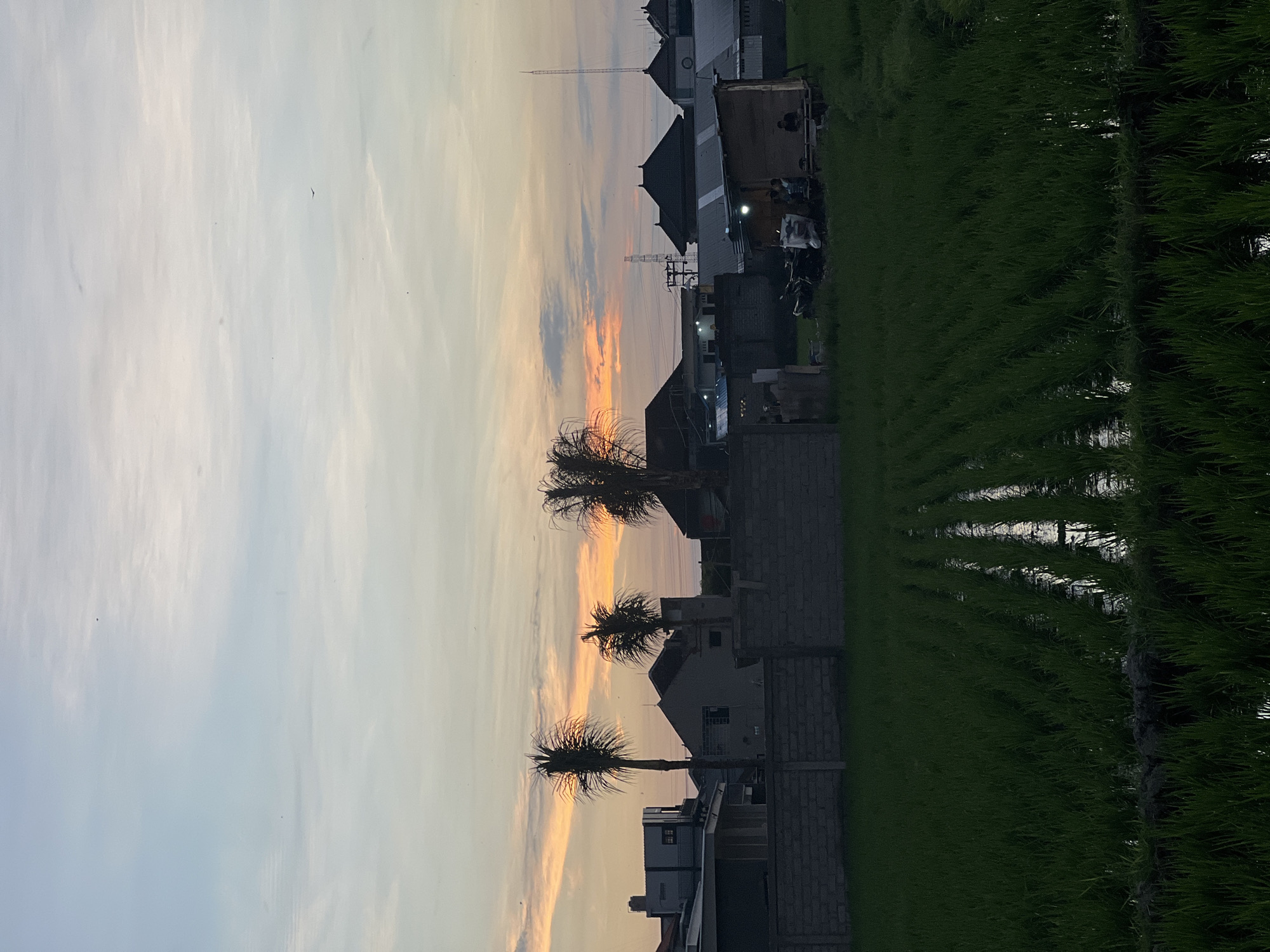 Sunset in a Mengwi village, rice paddies and everyday life