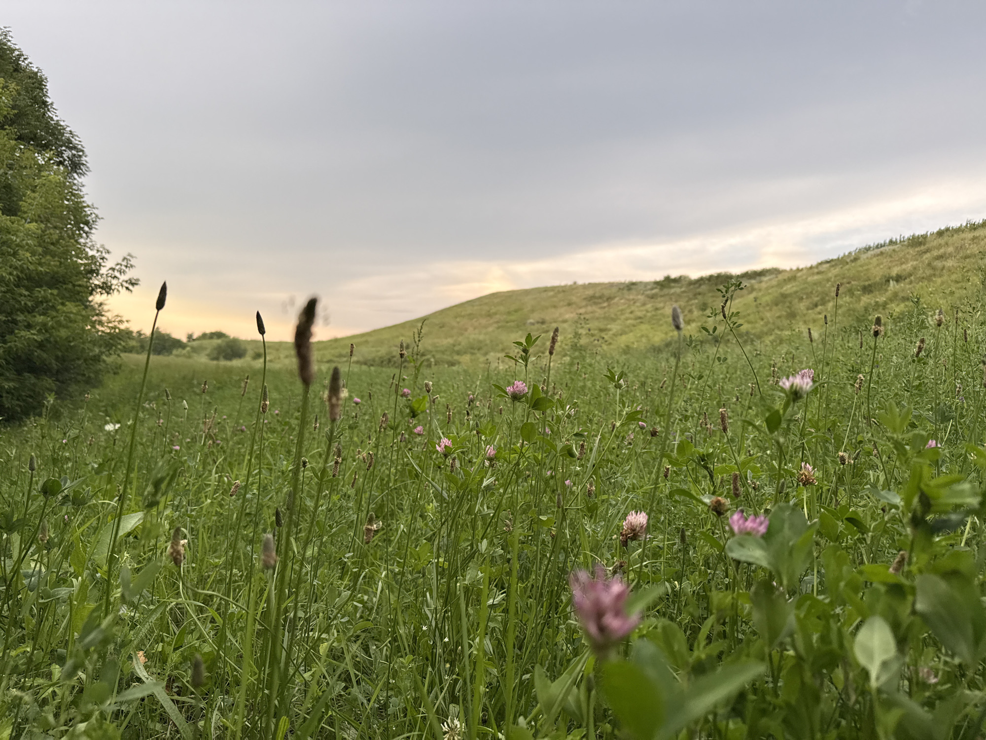 Rural golden hour: meadows, sunsets, and a blue-doored farmhouse