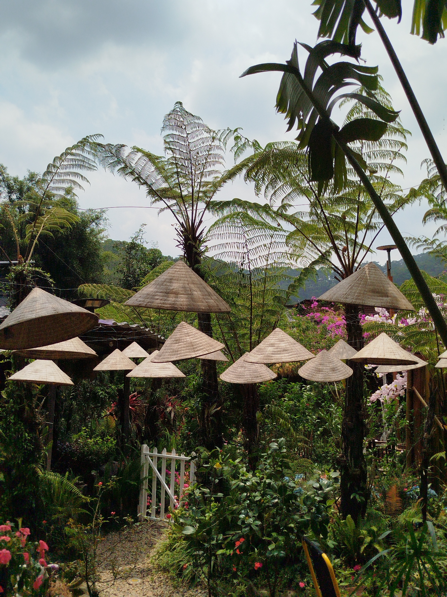 Traditional straw hat garden displays documented in Da Lat