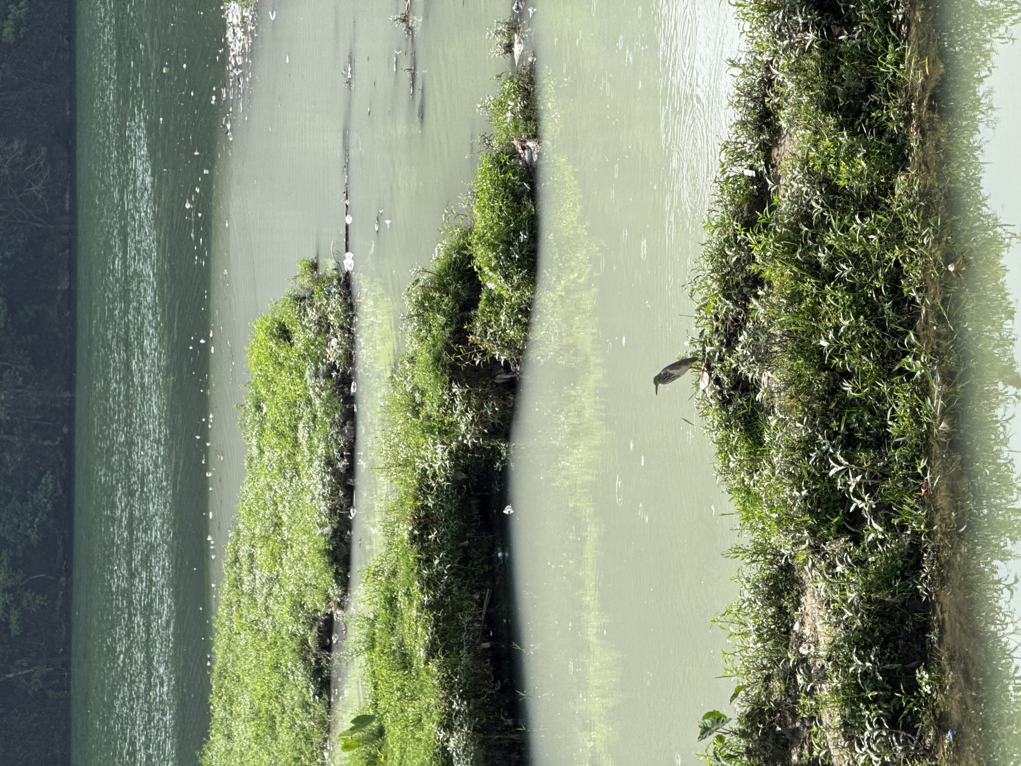 Morning life scenes documented across Pokhara, Nepal