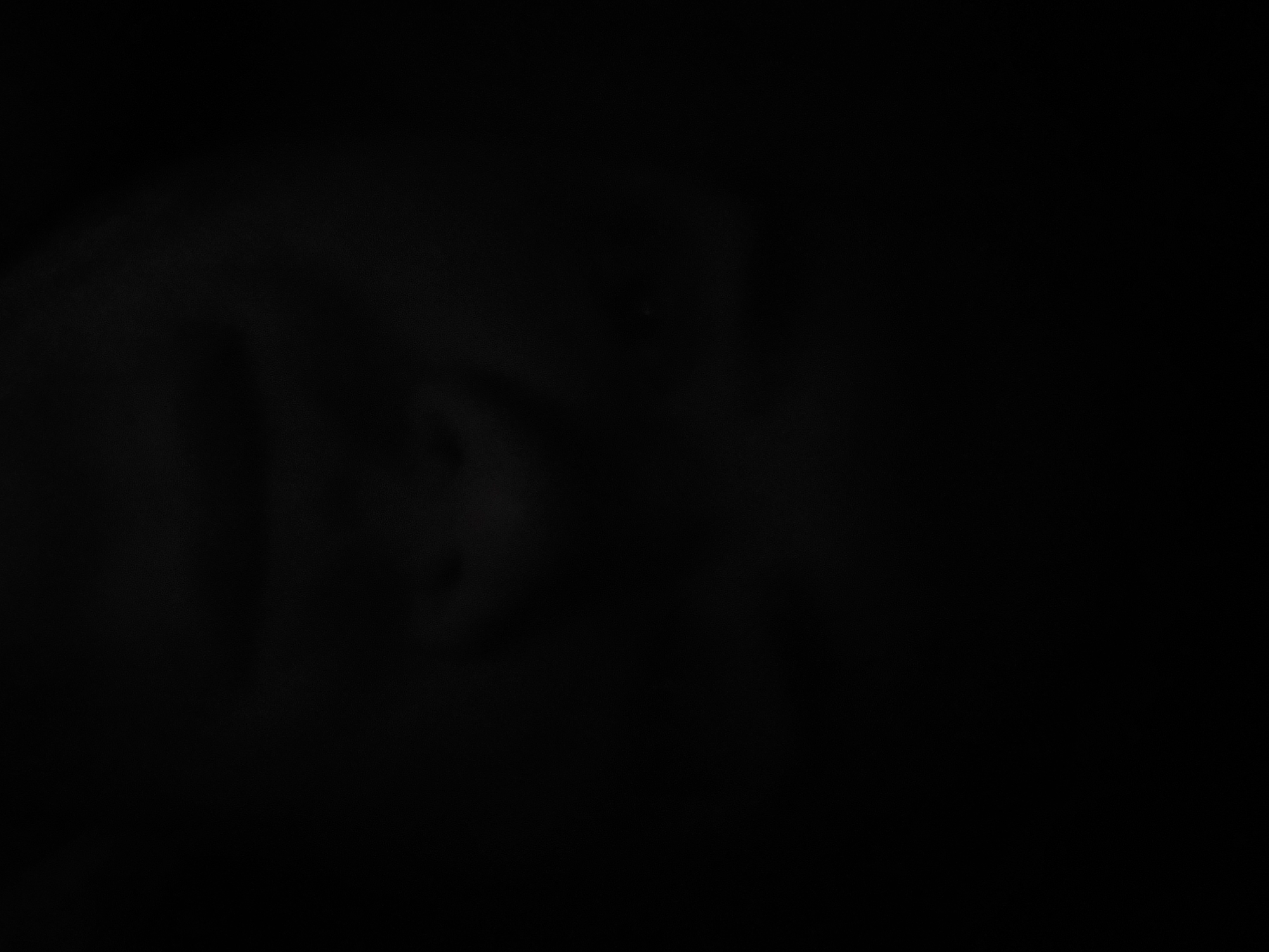 Dark image captured in Tashkent prevents witness identification