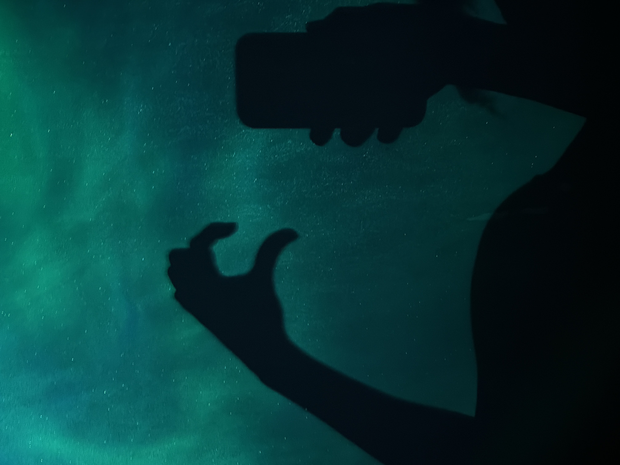 Heart silhouette framed against the aurora borealis in Russia