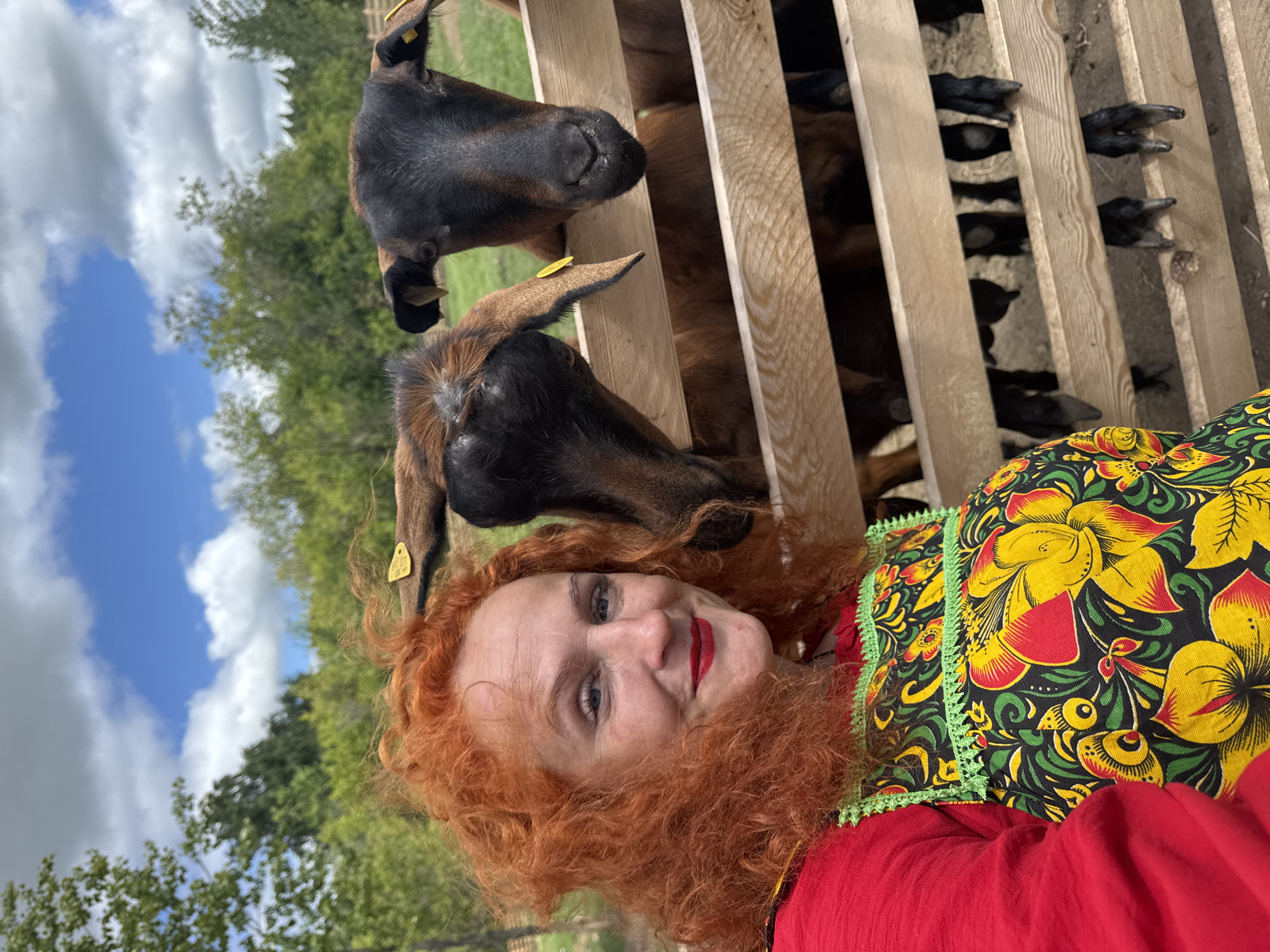 Camels, goats, and a quirky pit stop in Tri Ozera
