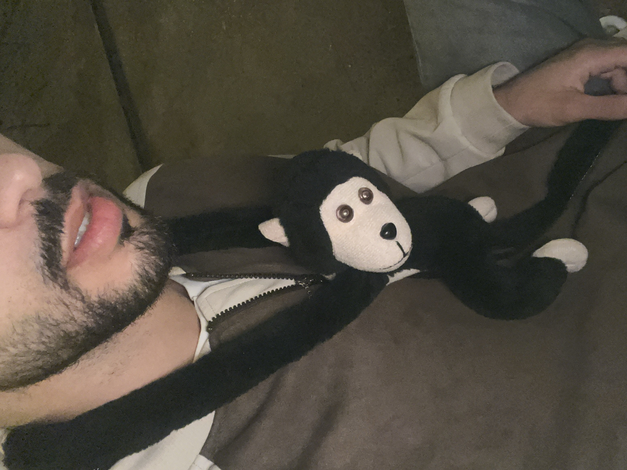 Evening moments with stuffed monkey toy captured in Meknes