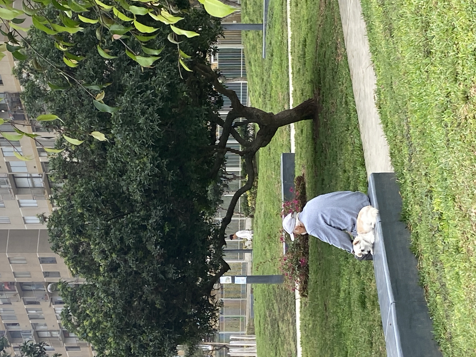 Person in baseball cap observed in San Miguel park