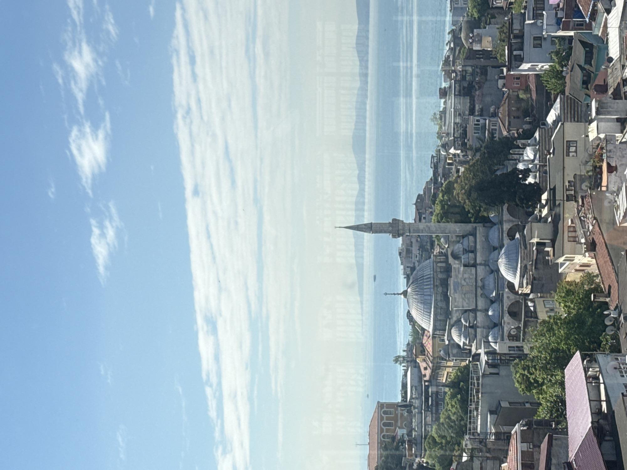 Seagull perches on waterfront building ledge amid calm cityscape