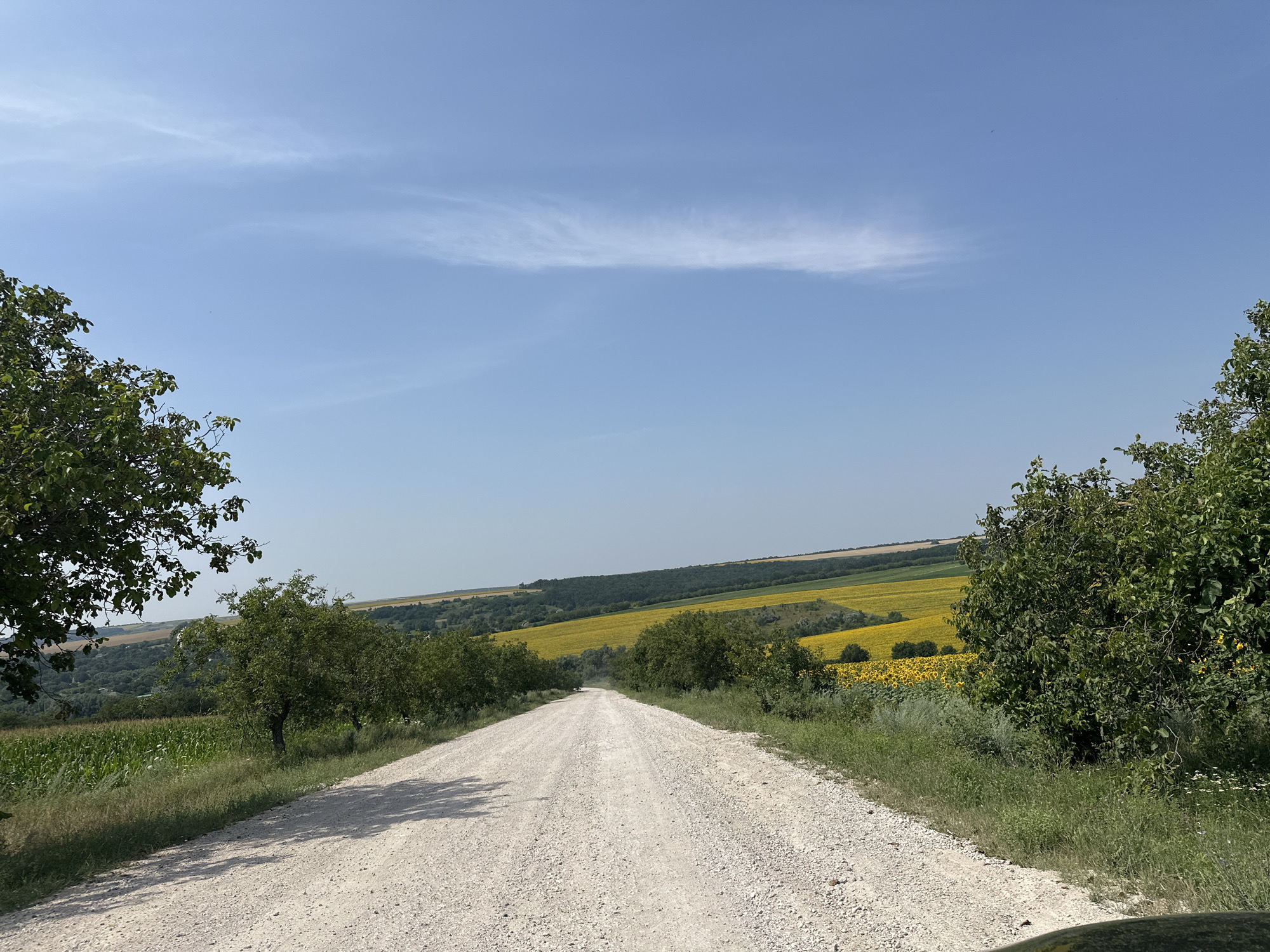 Sunflowers, cornfields, and gravel roads in rural Moldova