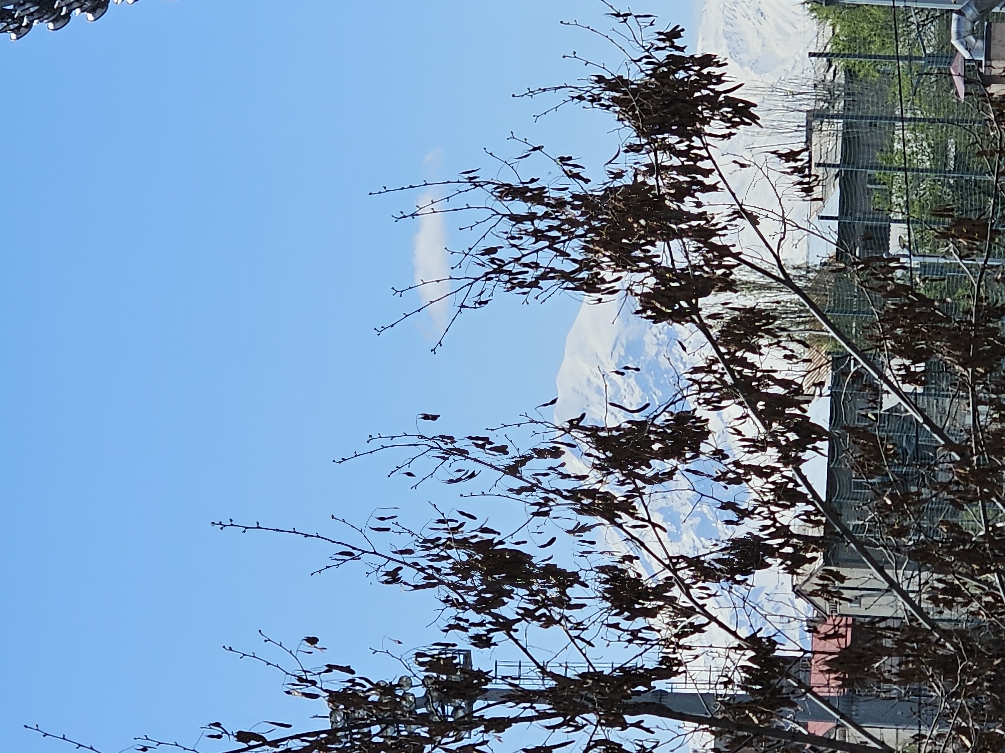 Blue sky and mountains viewed through trees with fencing