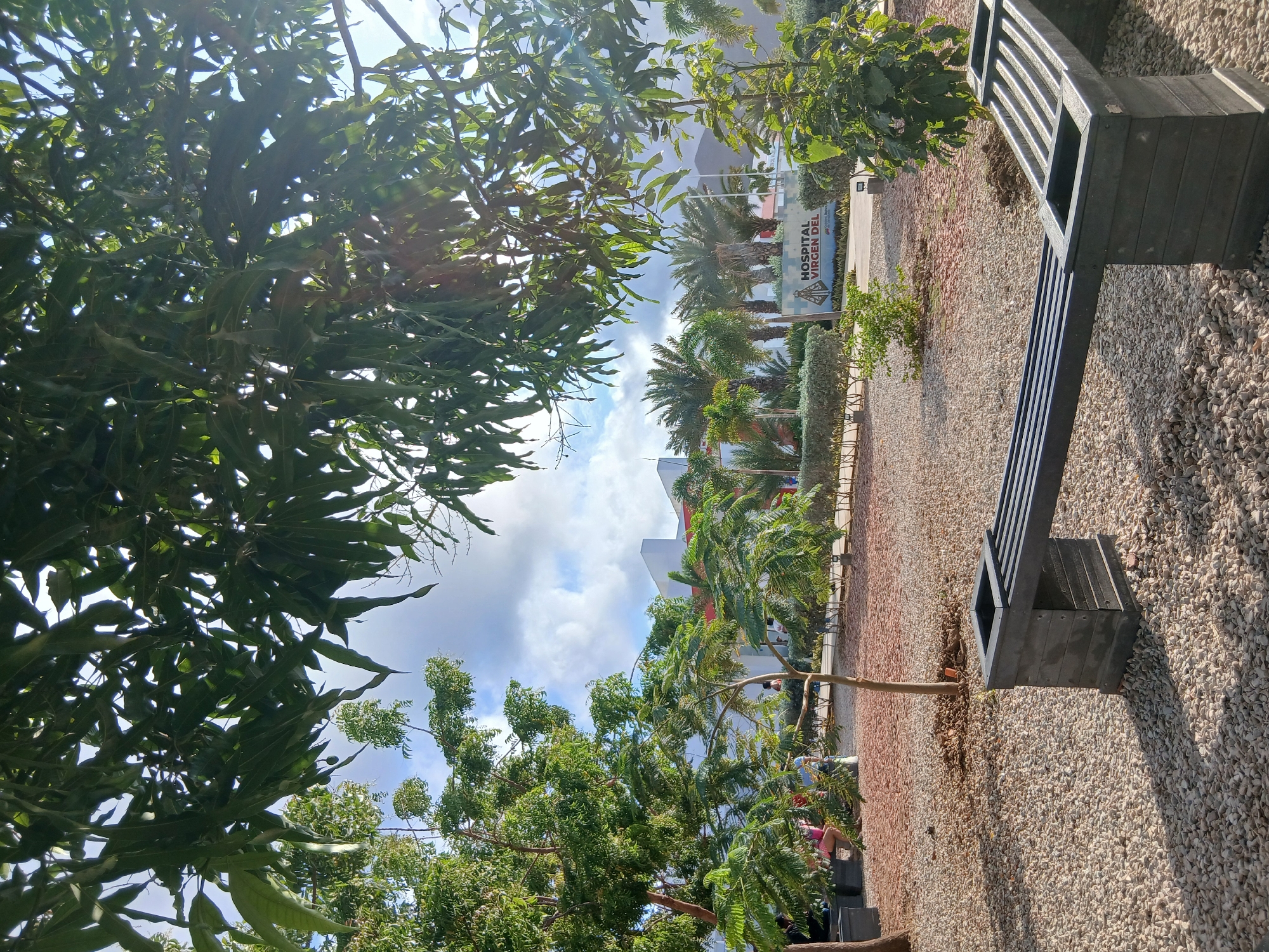 Sunny day documented near Venezuelan hospital grounds