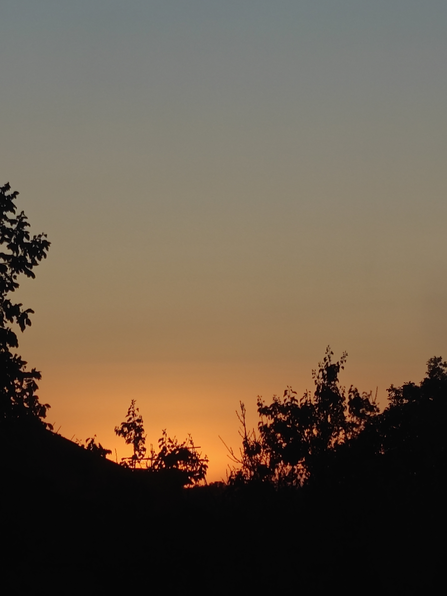 Evening chinchilla care and sunset captured in Hadiach, Ukraine