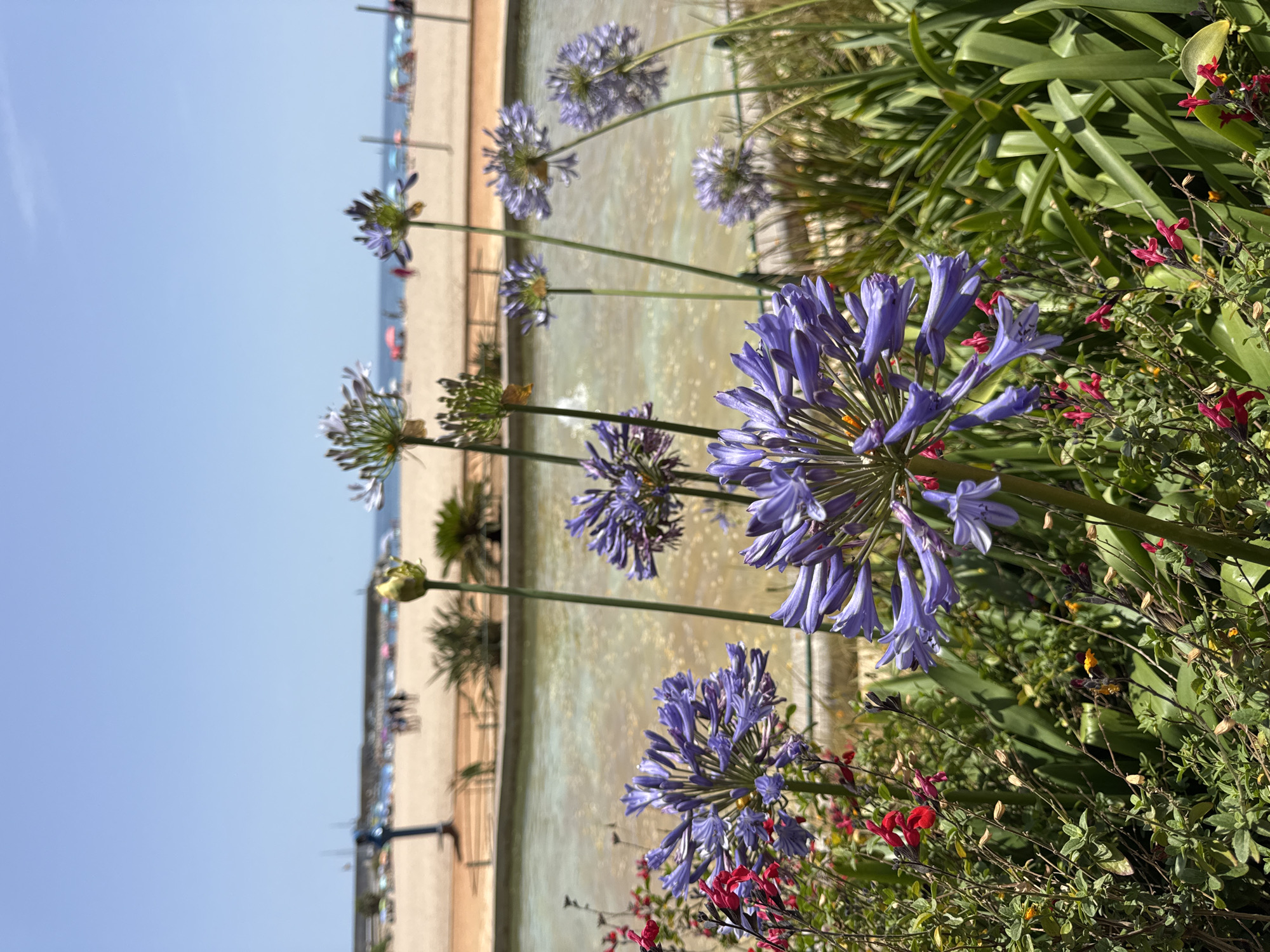 A summer morning wandering Blanes — shops, plazas, and beachside blooms