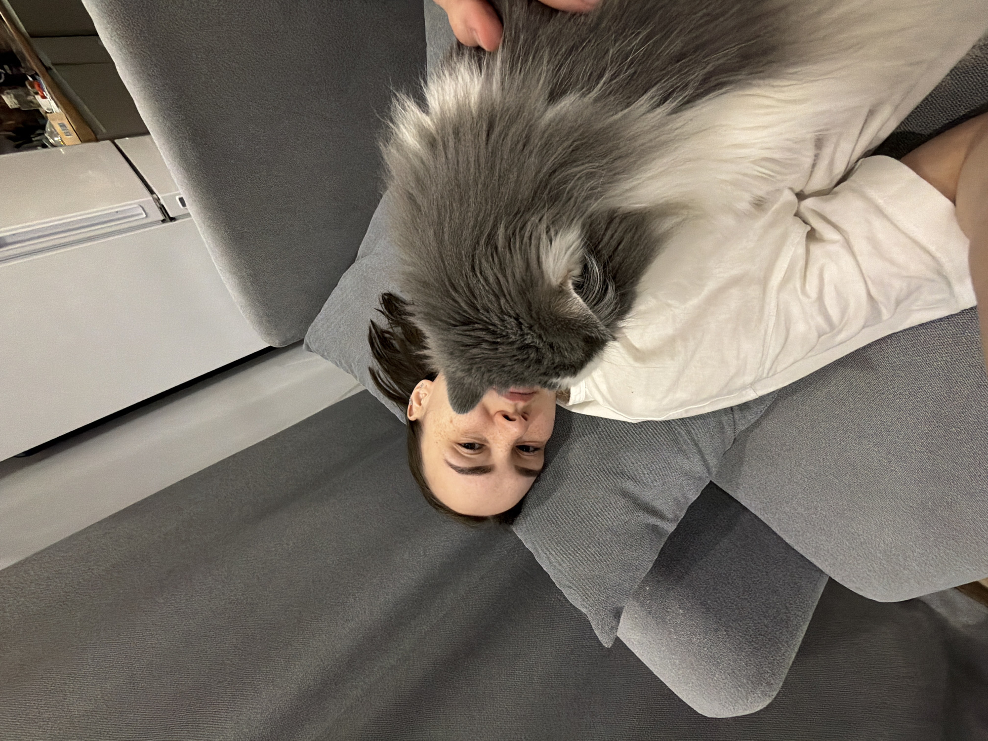 Cat rests on person's chest during quiet moment