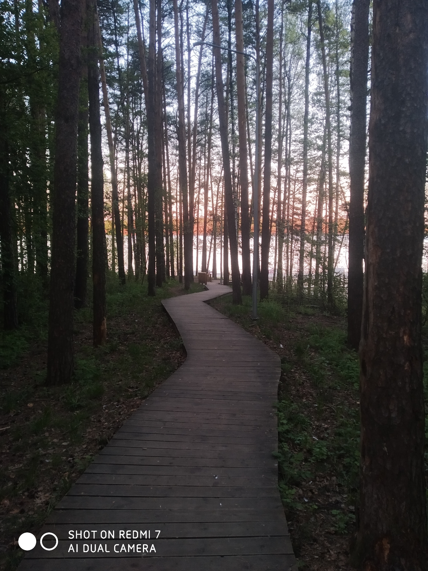 Evening stroll documented along Chaikovsky waterfront and forest paths