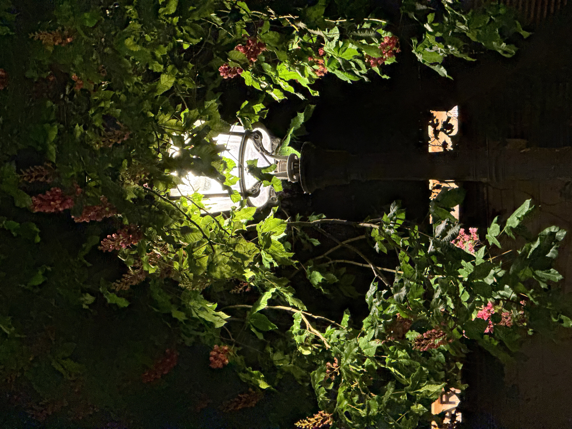 Nighttime Paris street scenes captured near illuminated café district