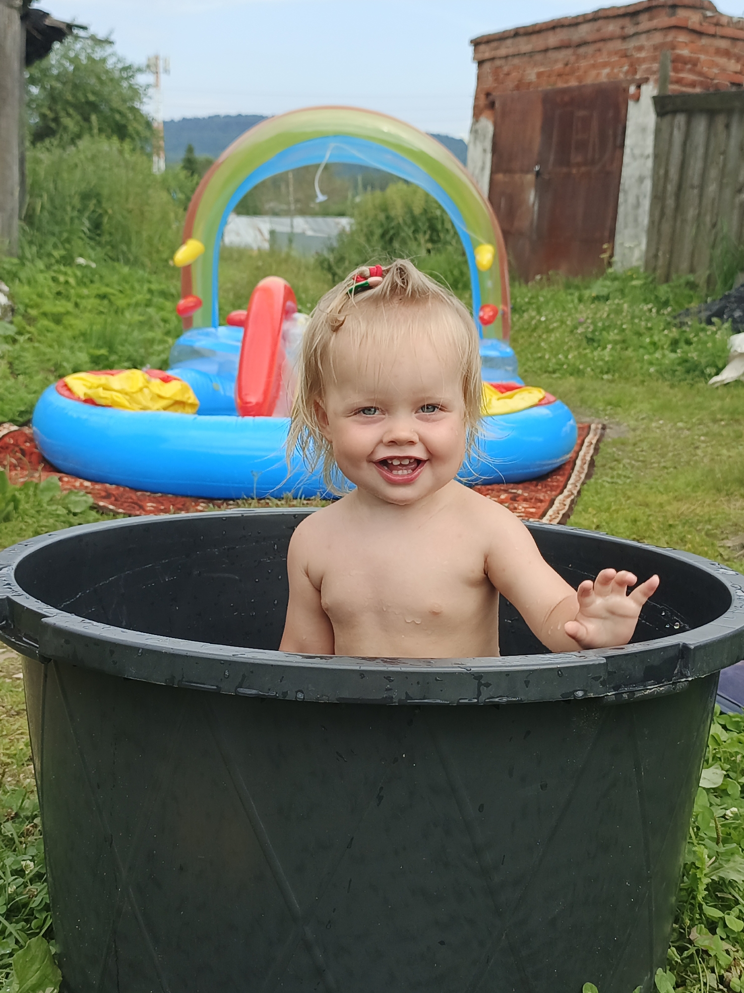 Lazy summer morning in a Russian backyard, July 2026