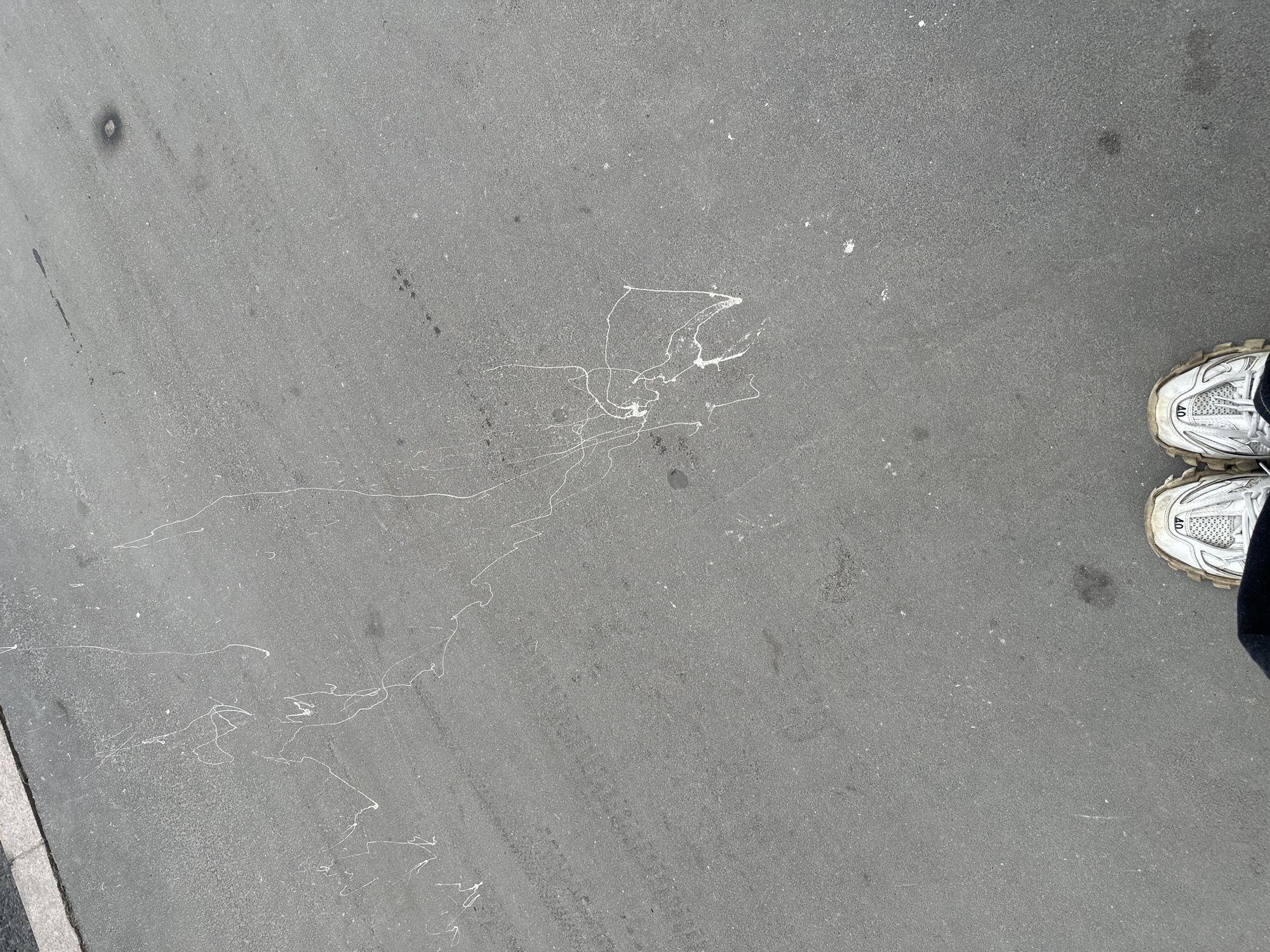 Paint splatters spotted on Moscow pavement