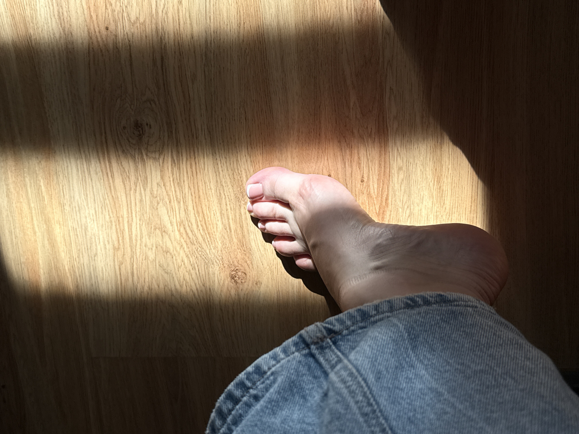 Afternoon relaxation moment captured on wooden floor in Bratislava