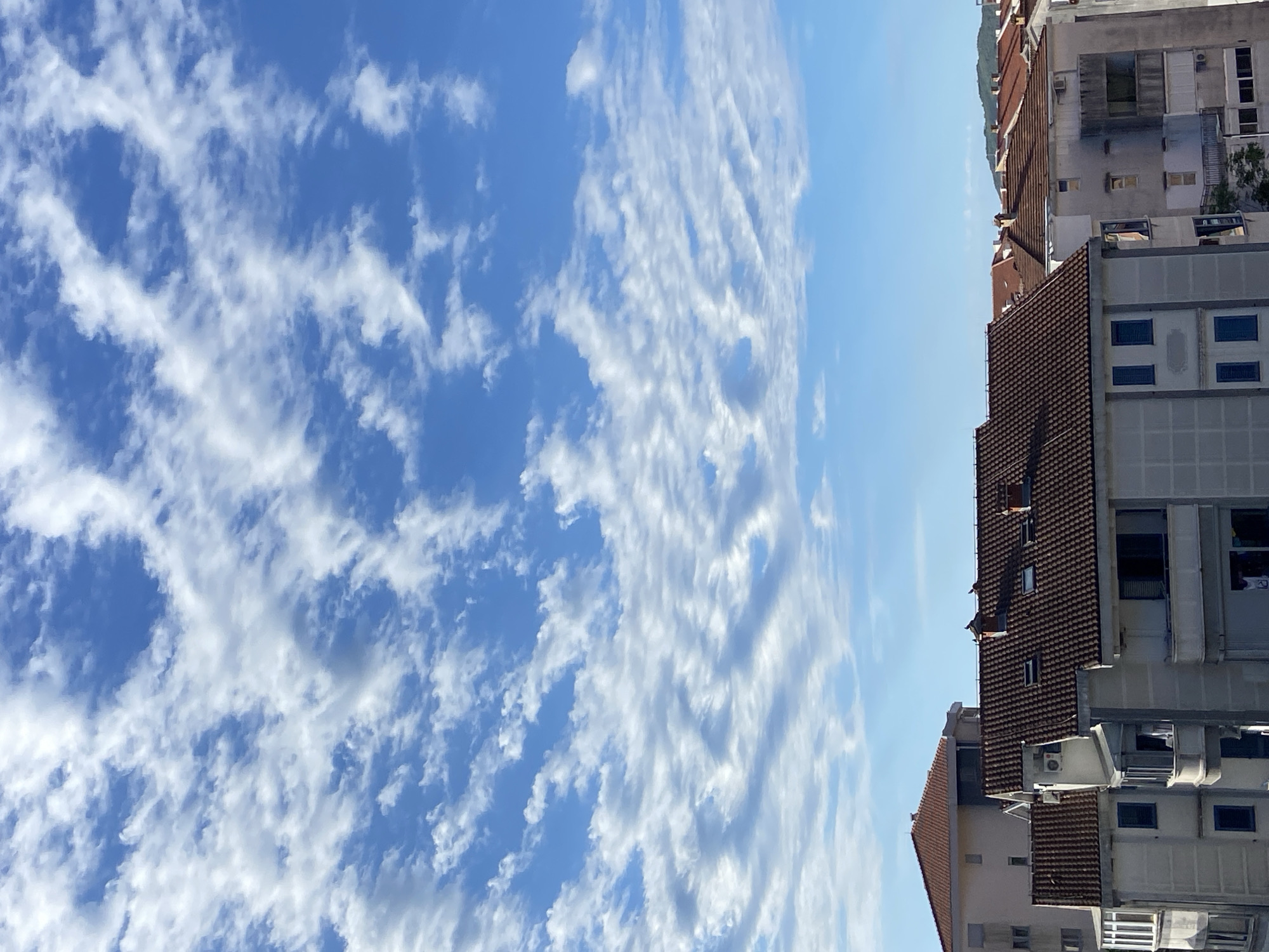 Morning rooftop views across Budva's mixed architecture
