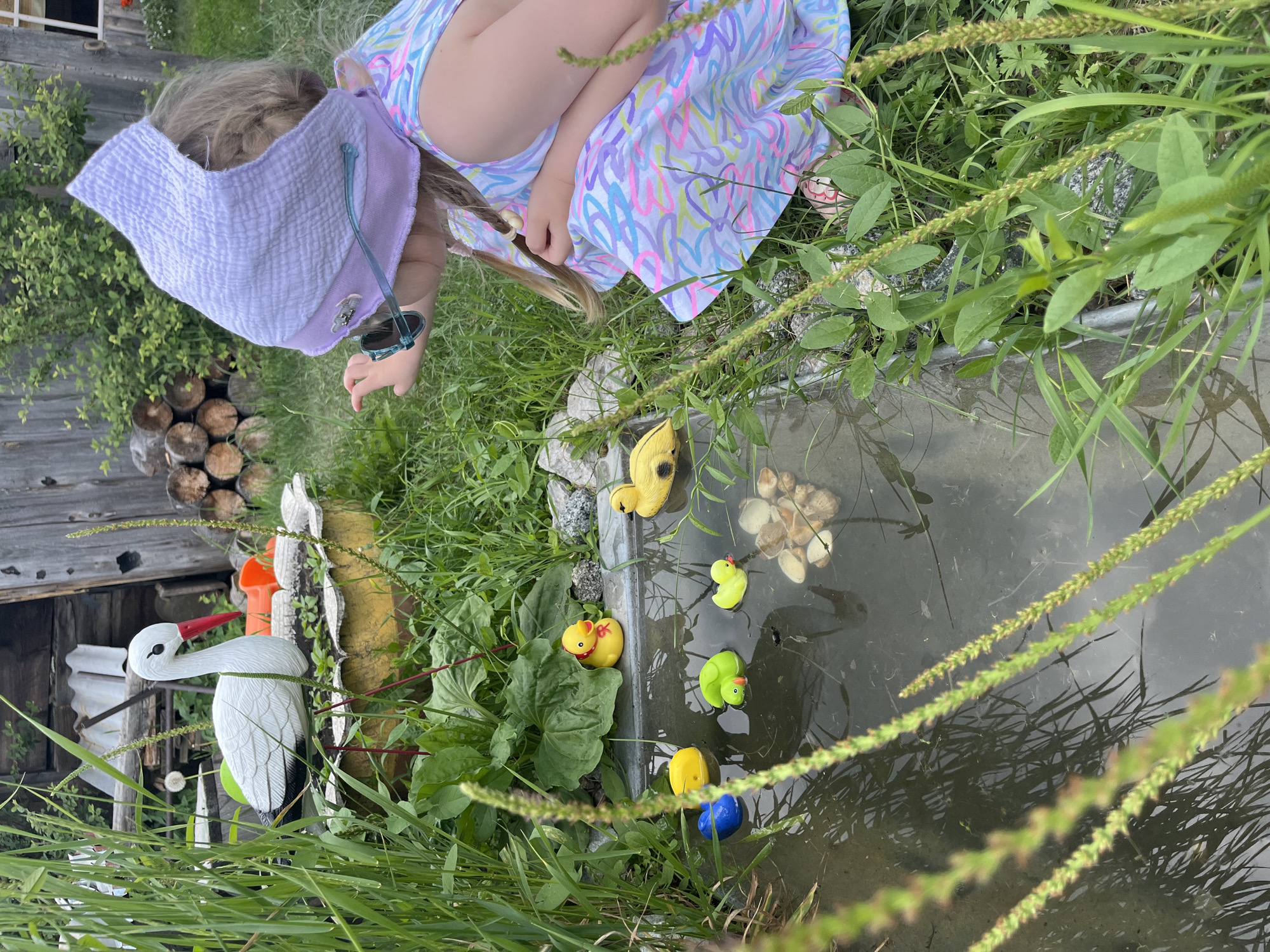 Morning backyard activities captured in rural Russian village