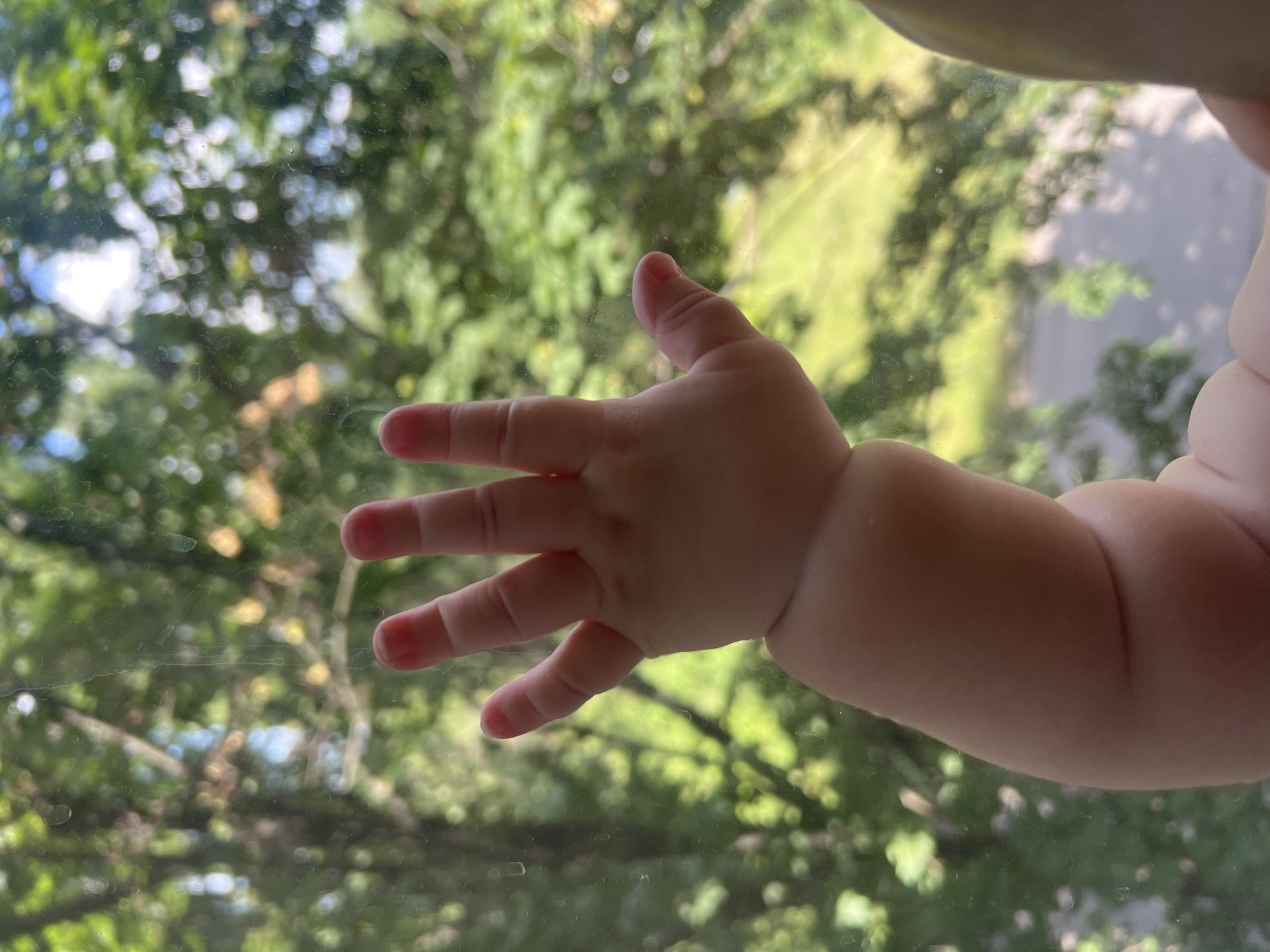 Baby's morning moments captured near window with garden views