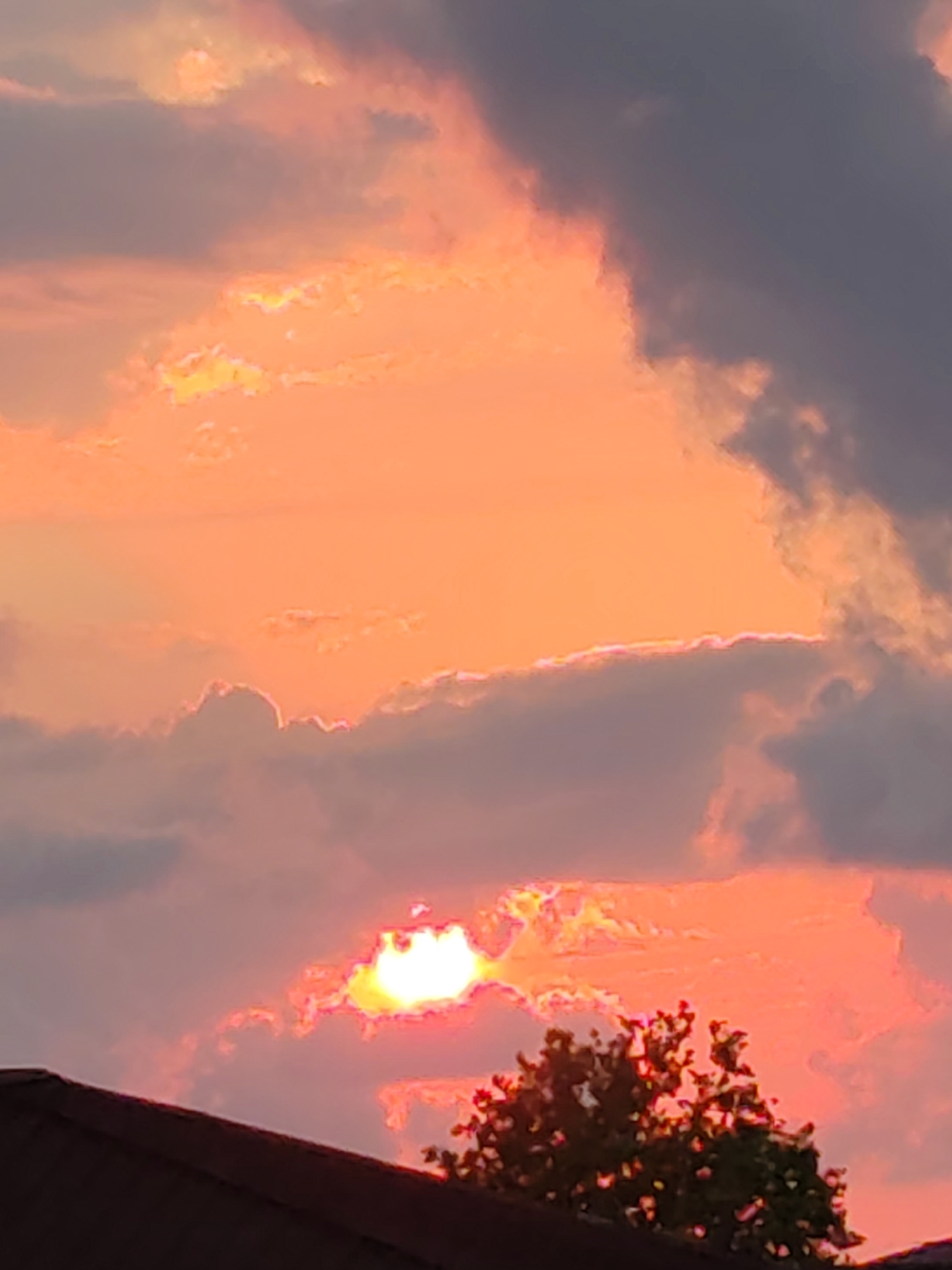 Stormy sunset skies over Batumi, birds in silhouette