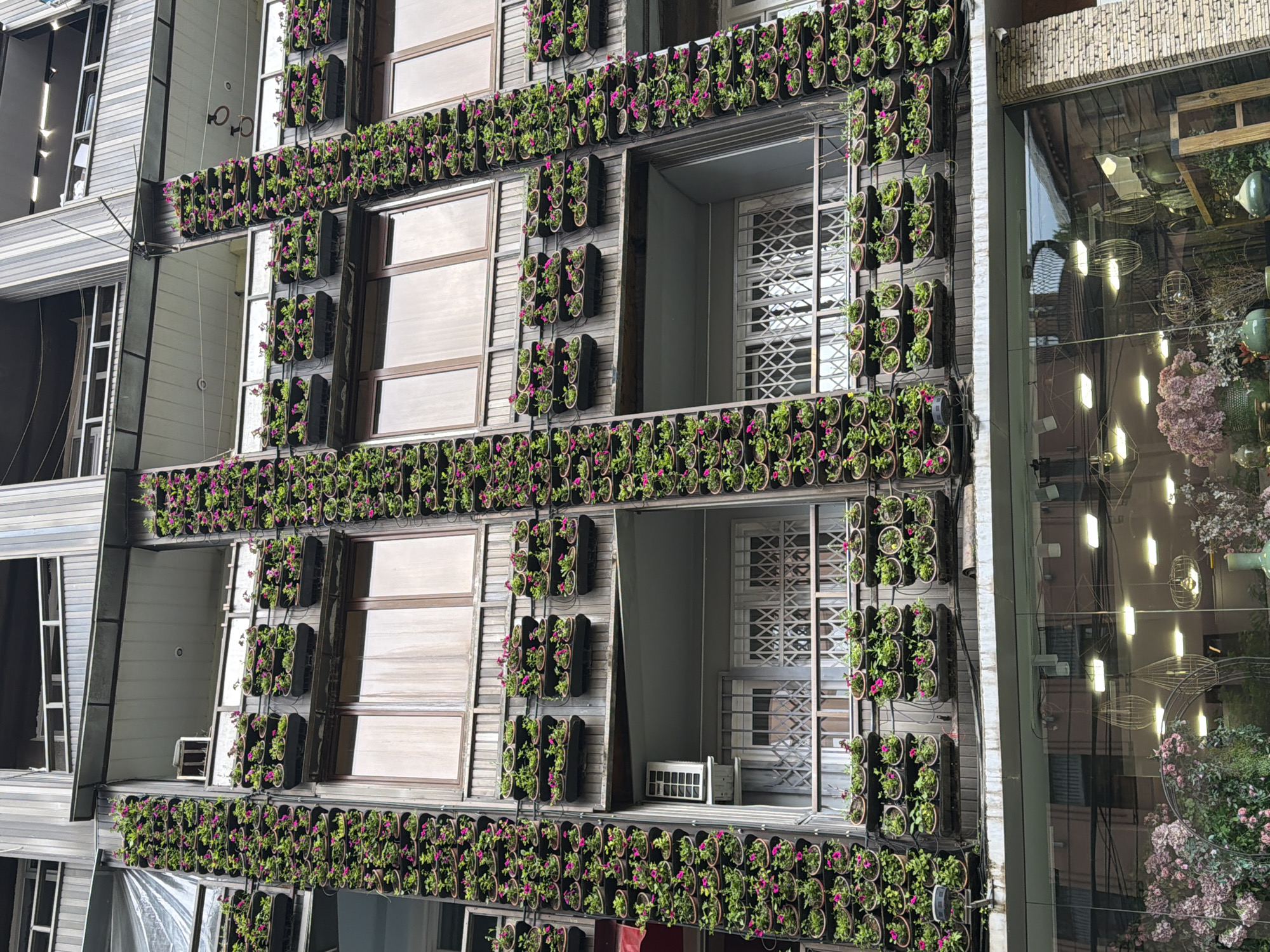 Green-walled building with plant facade photographed in Yerevan