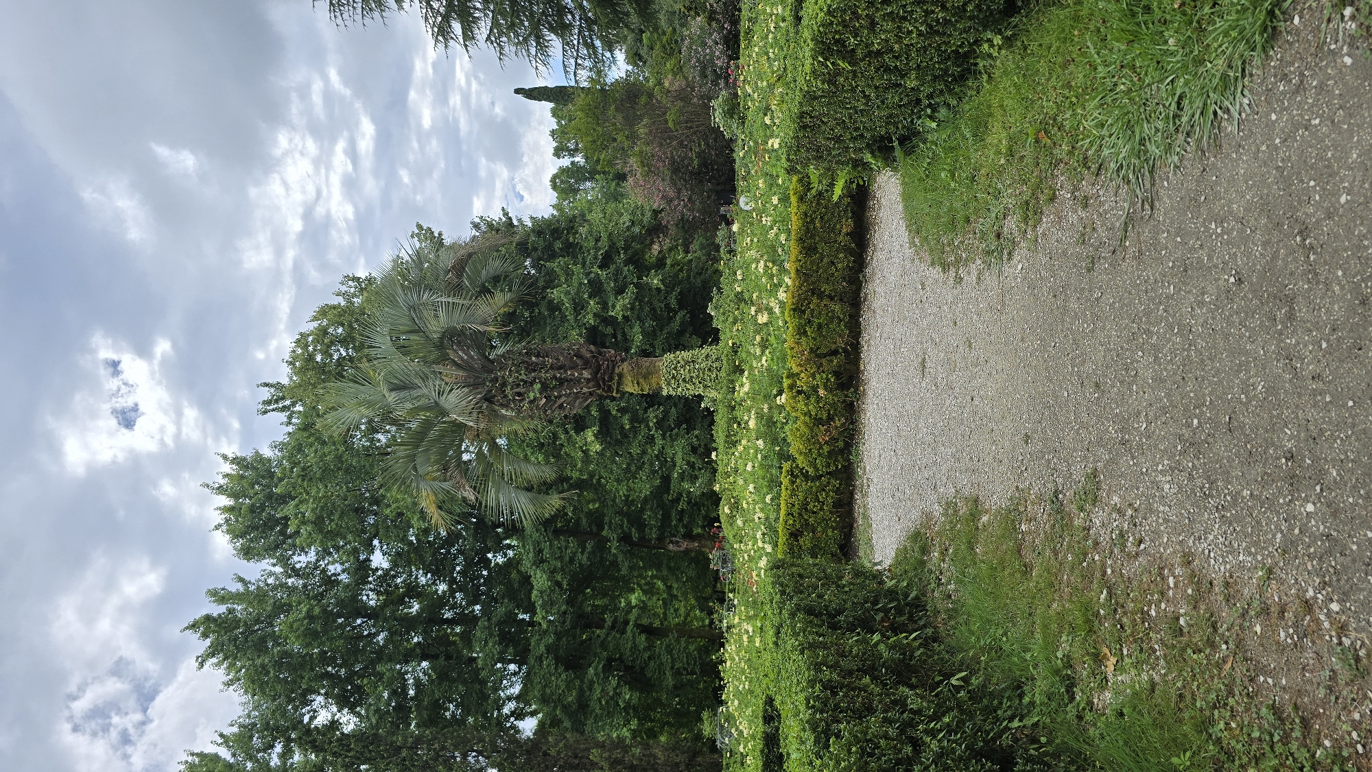 Wandering a lush botanical park in Sirius, Russia