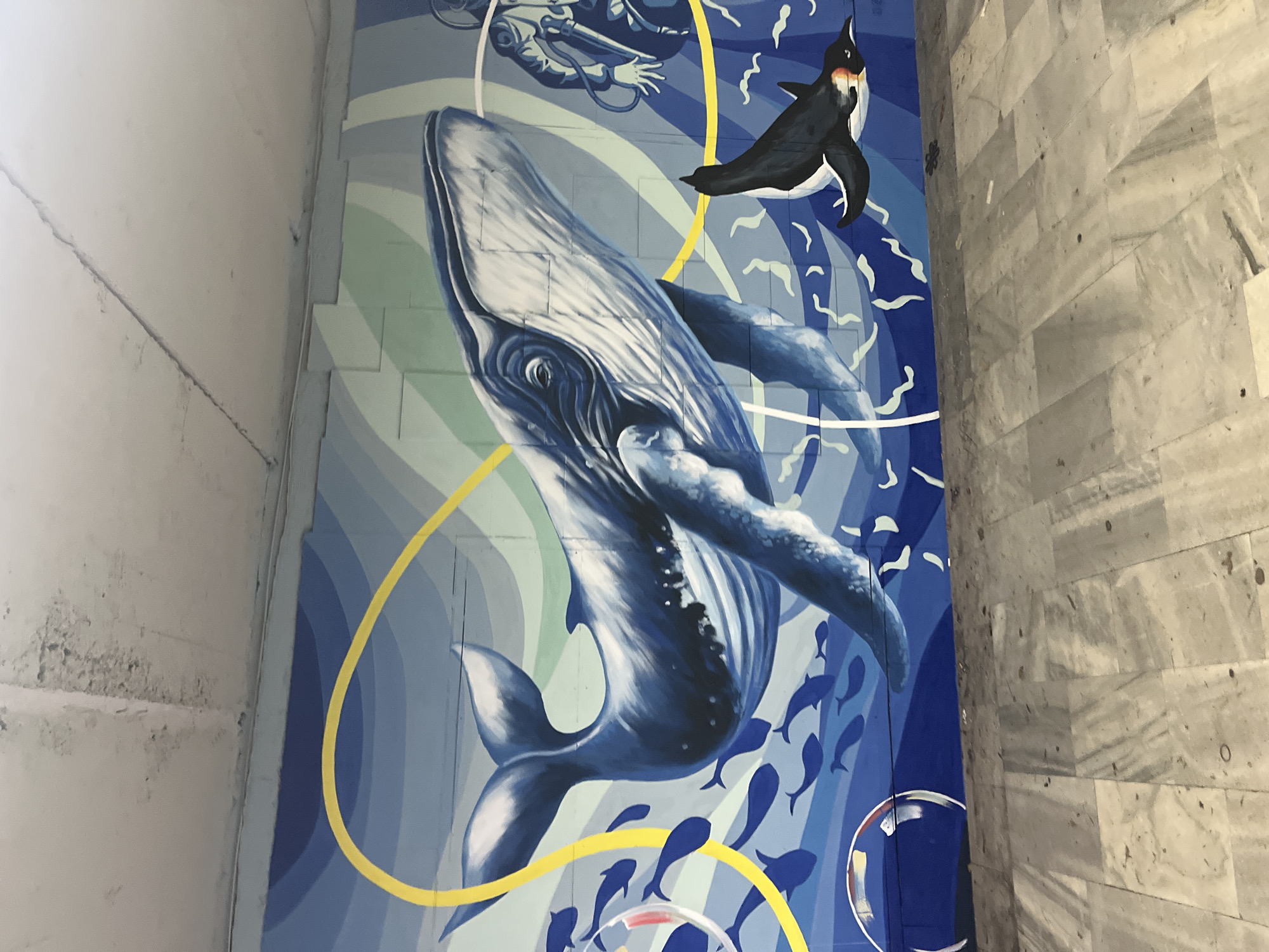 Sofia resident documents street art and gym visit