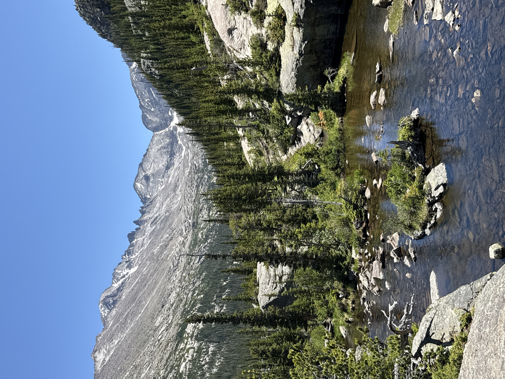 Rocky Mountain lakes, streams, and weathered driftwood on a clear evening