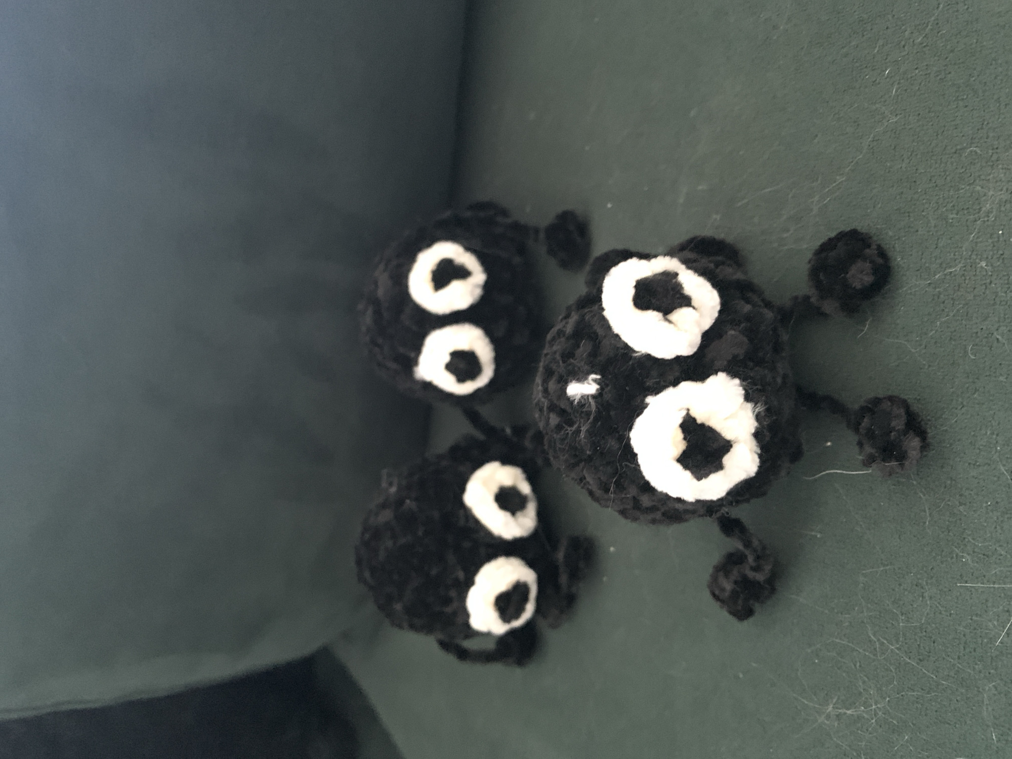 LEGO builds, pets, and handmade crafts in a Poznań home