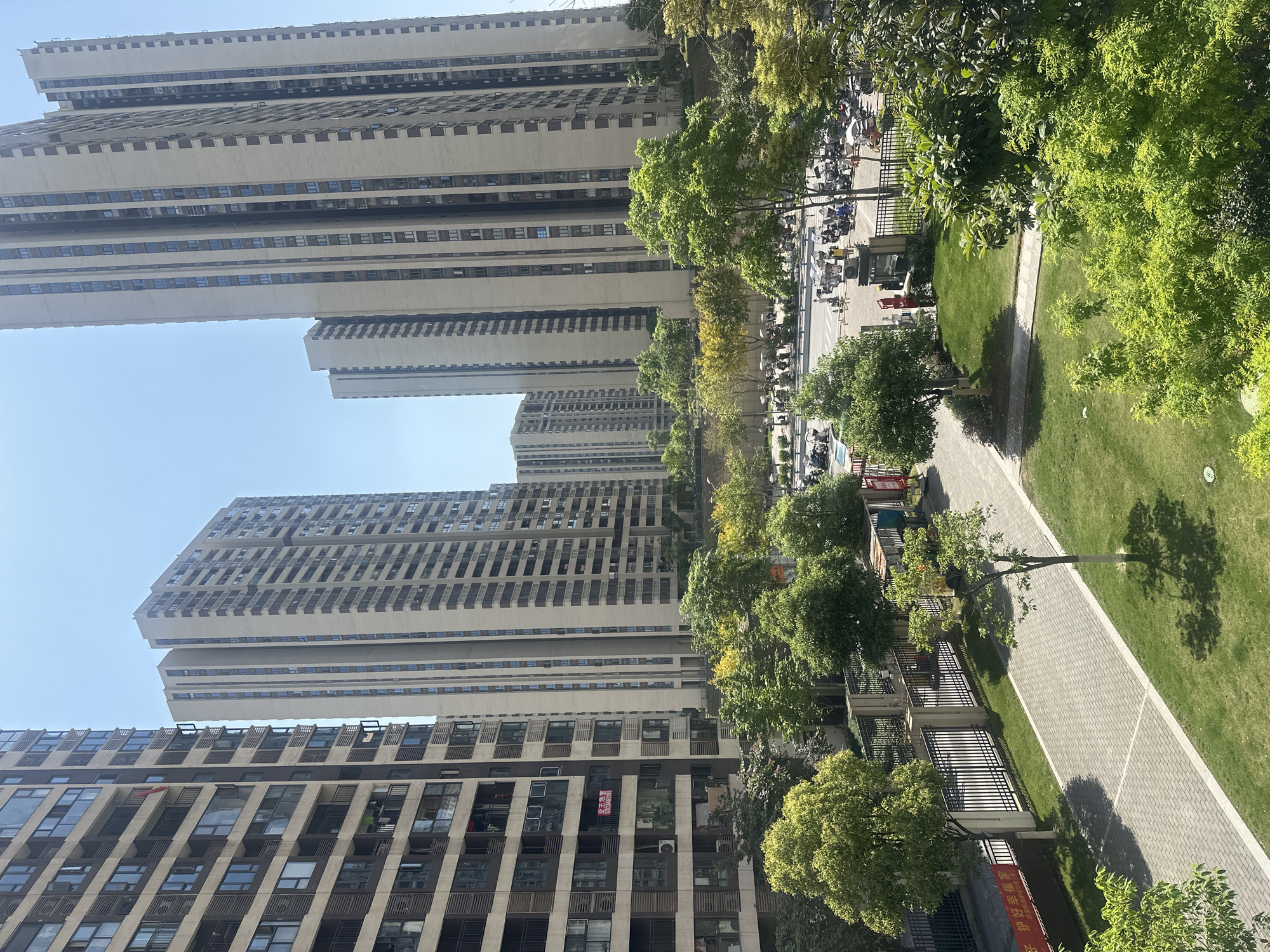 Morning observations captured in Chongqing High-tech Zone residential area