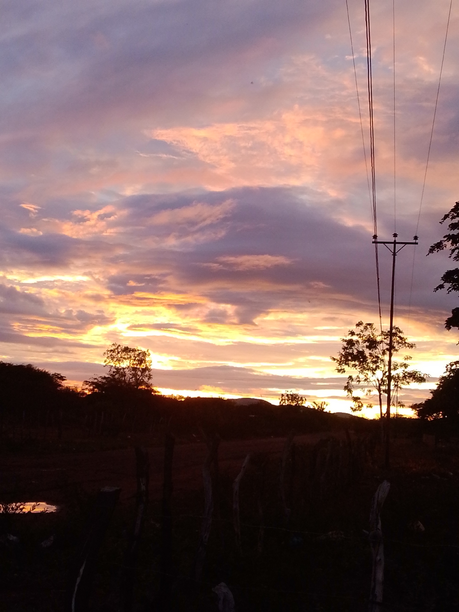 Evening walk captured on rural Venezuela road during sunset
