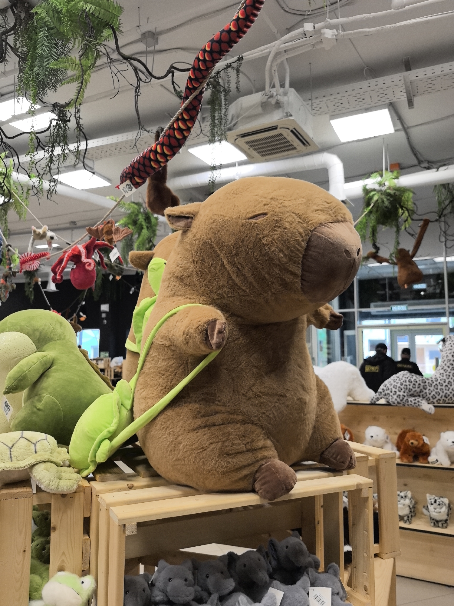 Spring toys and flowers spotted in Perm