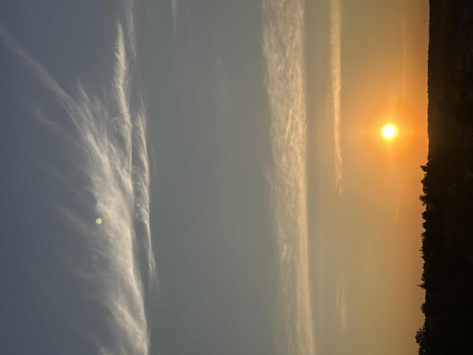 Urban sunset observed through treeline over 26-minute period