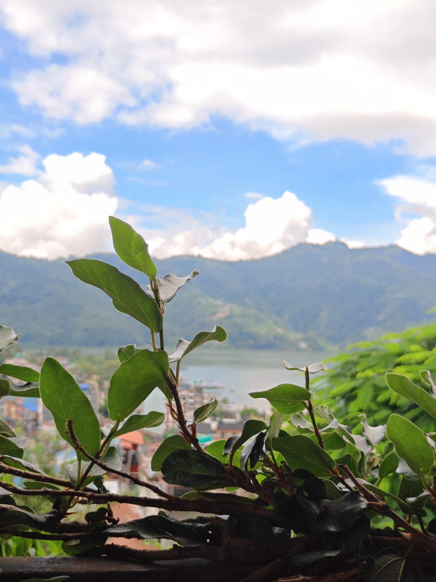 Phewa Lake views and street-level details, Pokhara