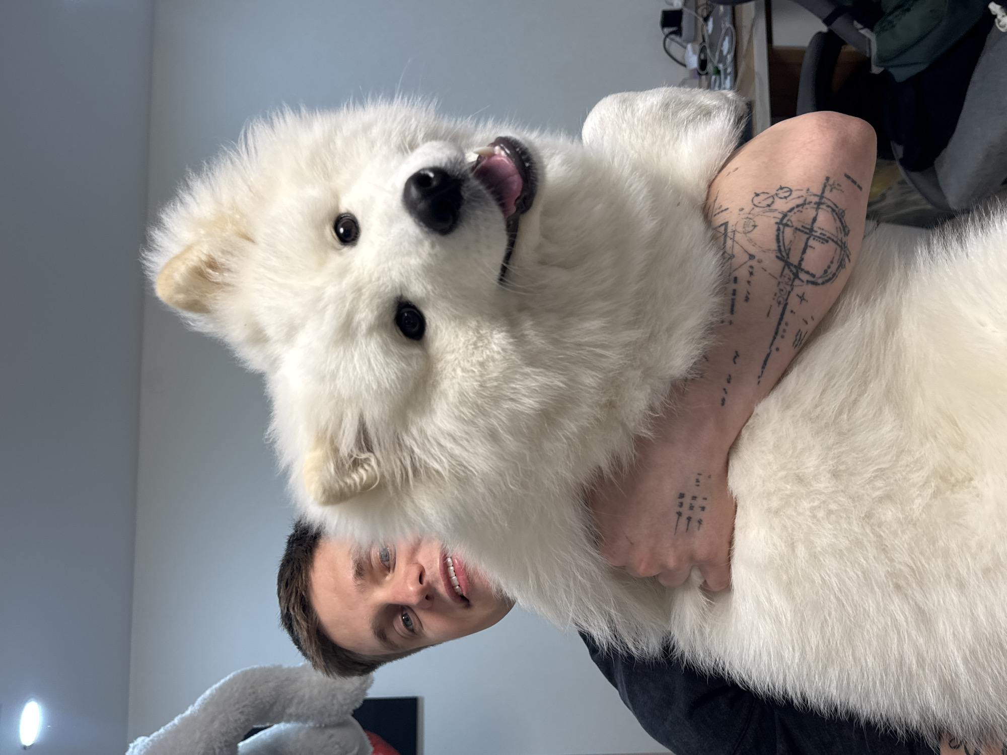 Morning life captured in Chaikovsky: pets, selfies, shipyard scenes