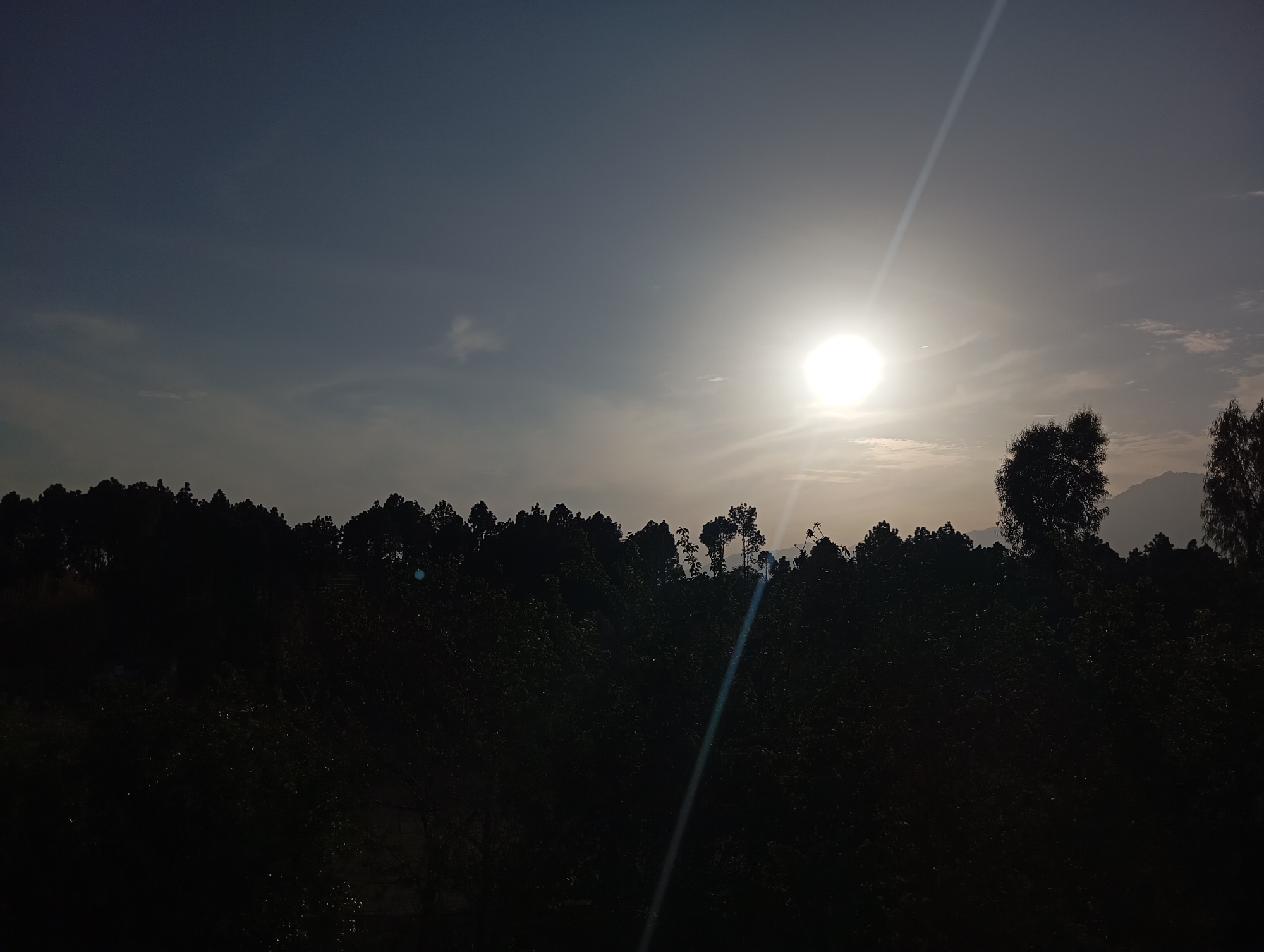 Sunlight filters through treeline in Lassan, Pakistan
