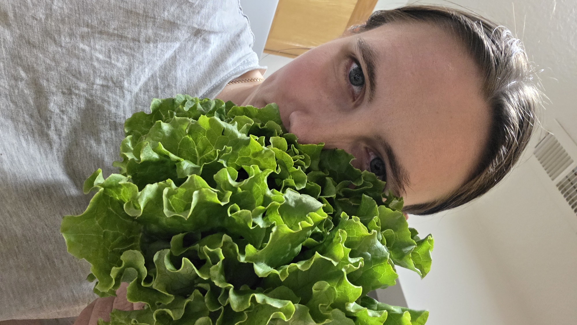 Cats, lettuce, and low-key home life in Portland