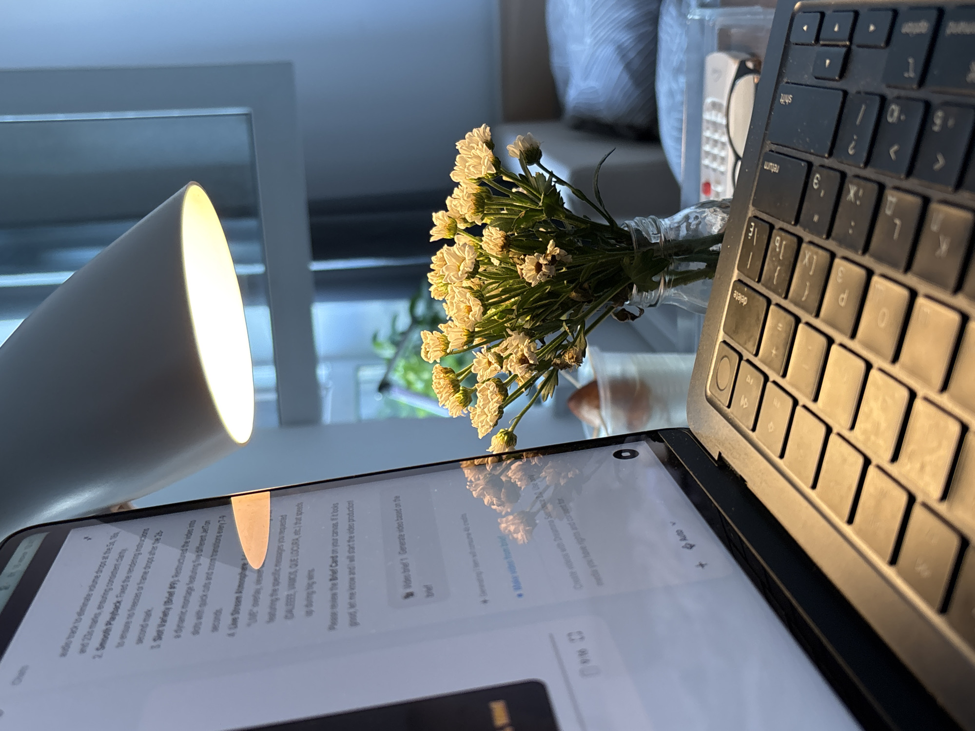 Home office coding day in Misaylovo, with flowers and city views