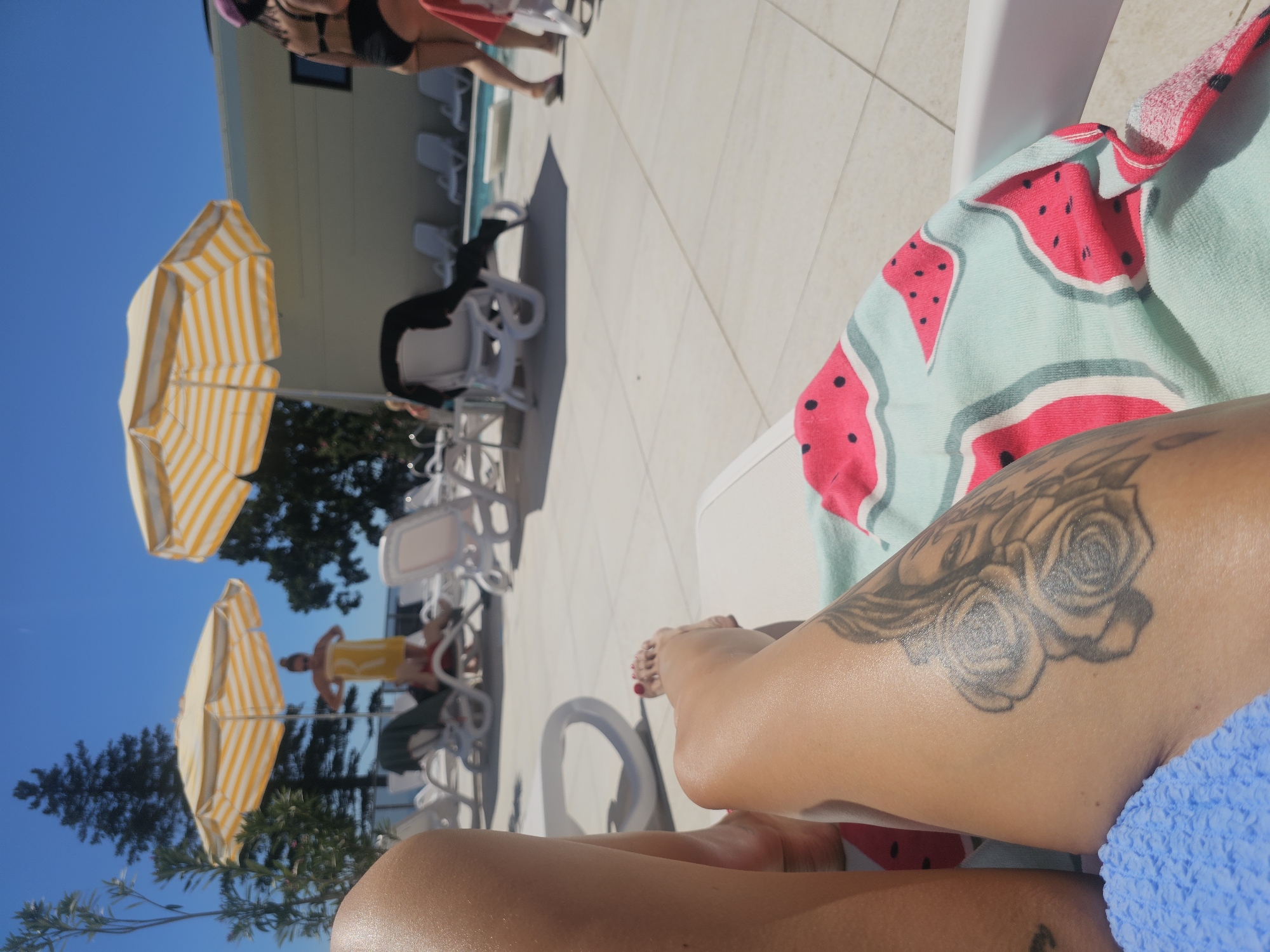 Sunny resort pool day, lounging and unwinding.