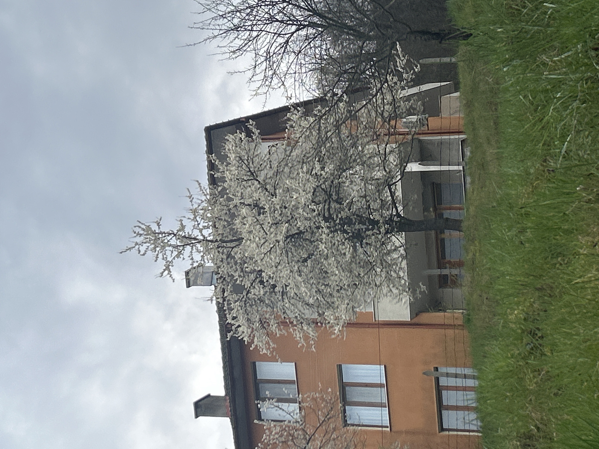 Spring day memories captured across Zlatograd, Bulgaria